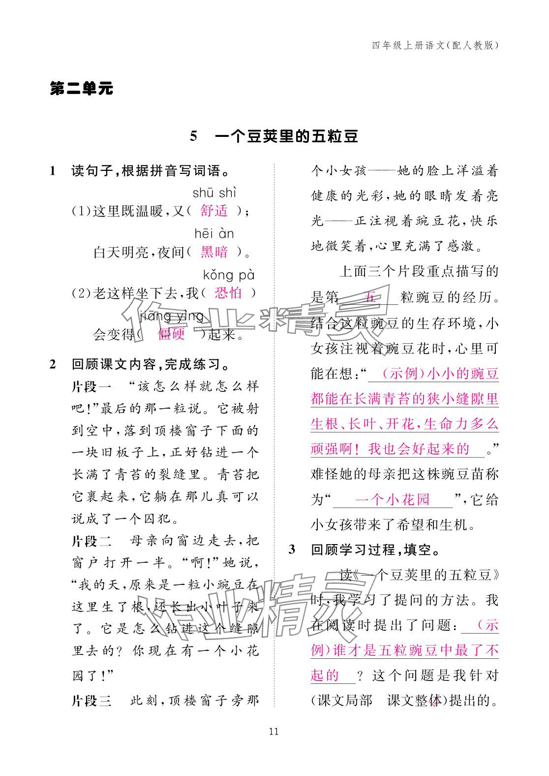 2025年作業(yè)本江西教育出版社四年級語文上冊人教版&nbsp;參考答案第11頁