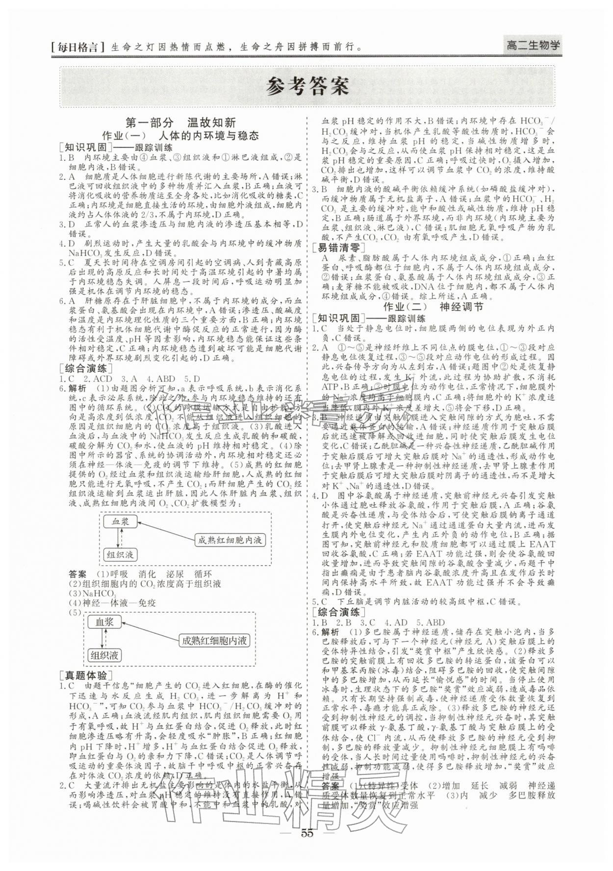 2026年寒假作业山东美术出版社高二生物&nbsp;第1页
