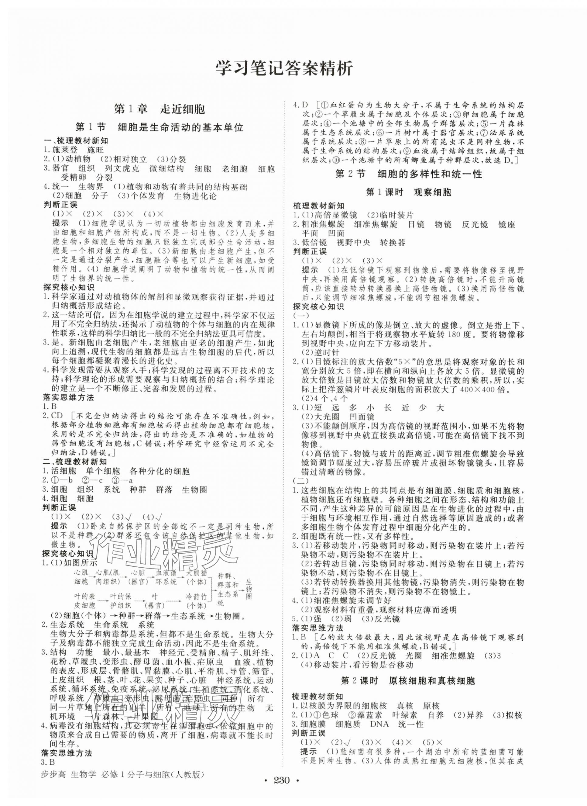 2024年步步高学习笔记生物必修1人教版 参考答案第1页