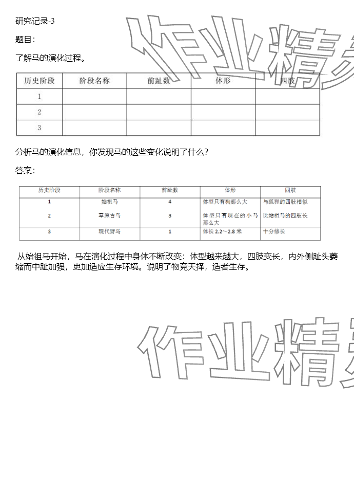 2024年同步實踐評價課程基礎訓練六年級科學下冊湘科版 參考答案第48頁