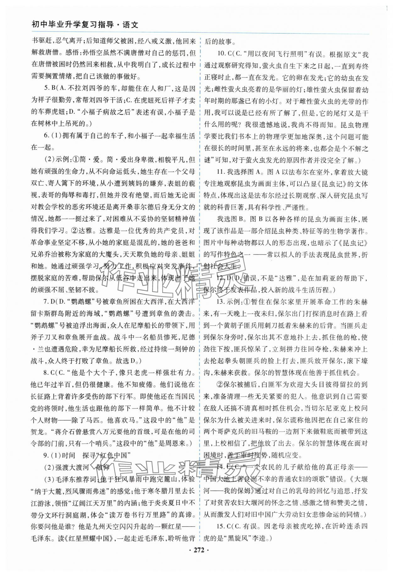 2024年初中畢業(yè)升學(xué)復(fù)習(xí)指導(dǎo)語文 參考答案第13頁