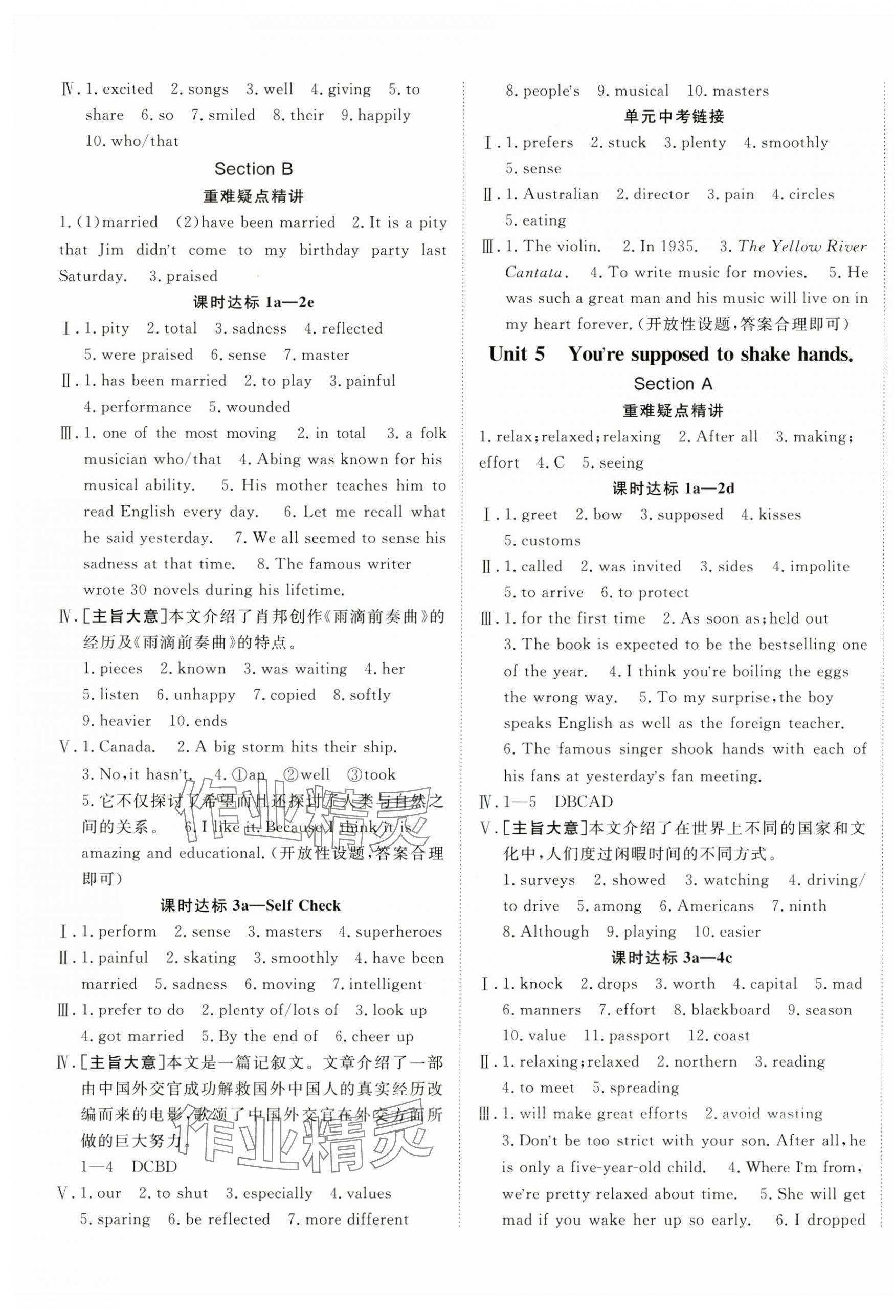 2025年同行学案九年级英语下册鲁教版 第5页