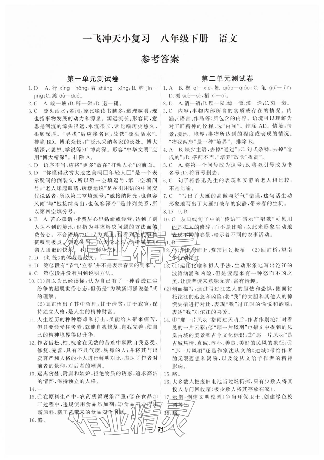 2025年一飛沖天小復習八年級語文下冊人教版 第1頁