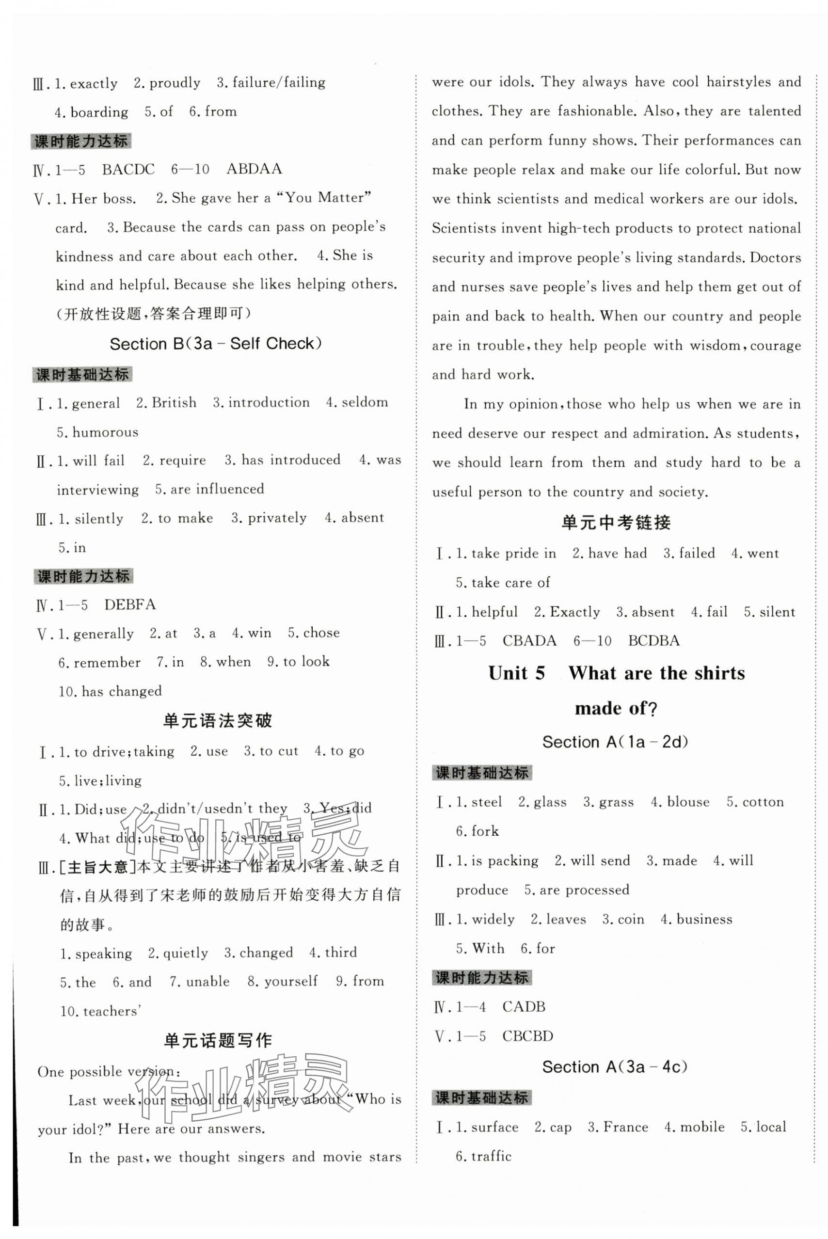 2025年同行学案学练测九年级英语全一册人教版青岛专版 第5页