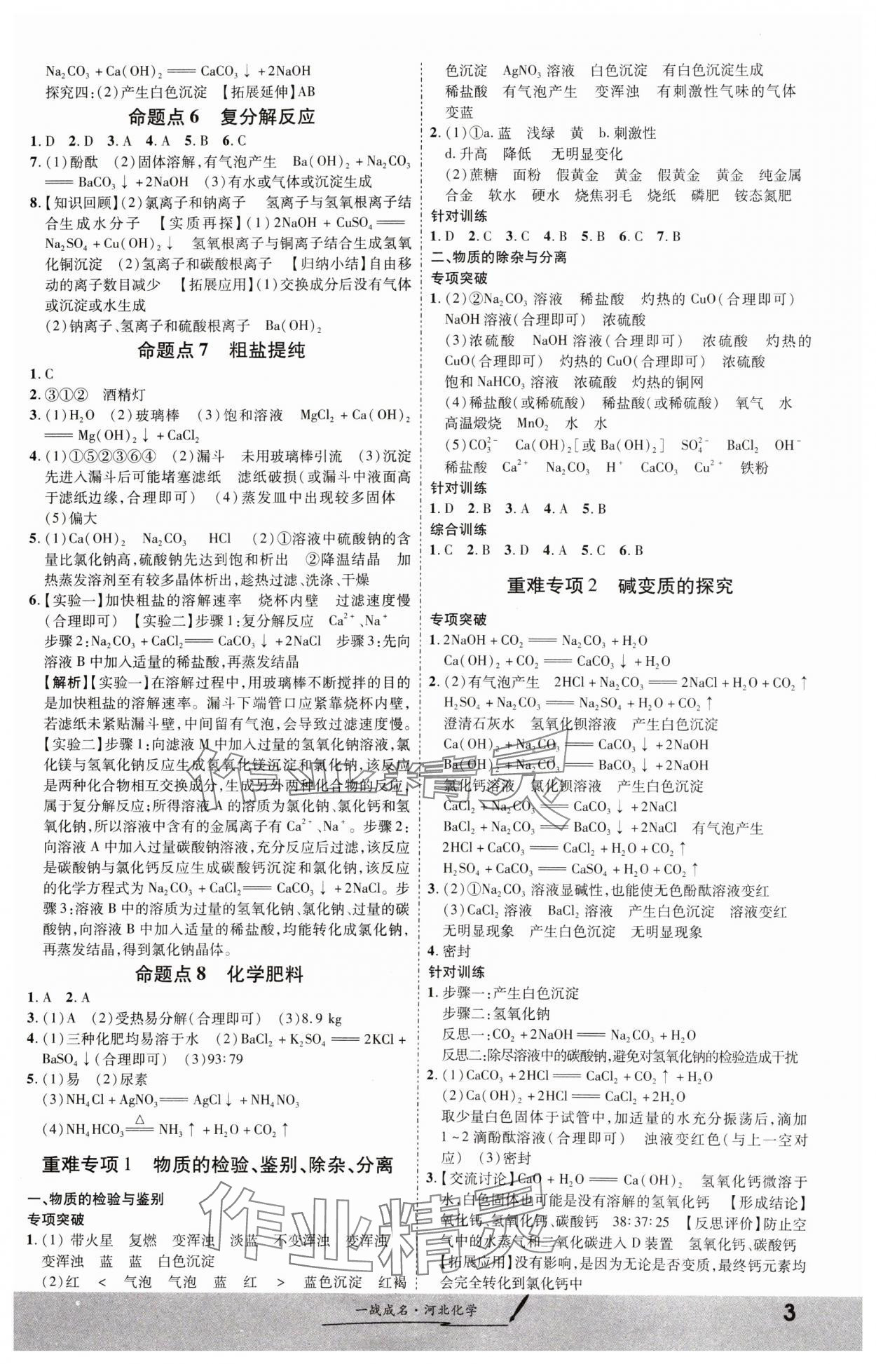 2024年一战成名考前新方案化学河北专版 第3页