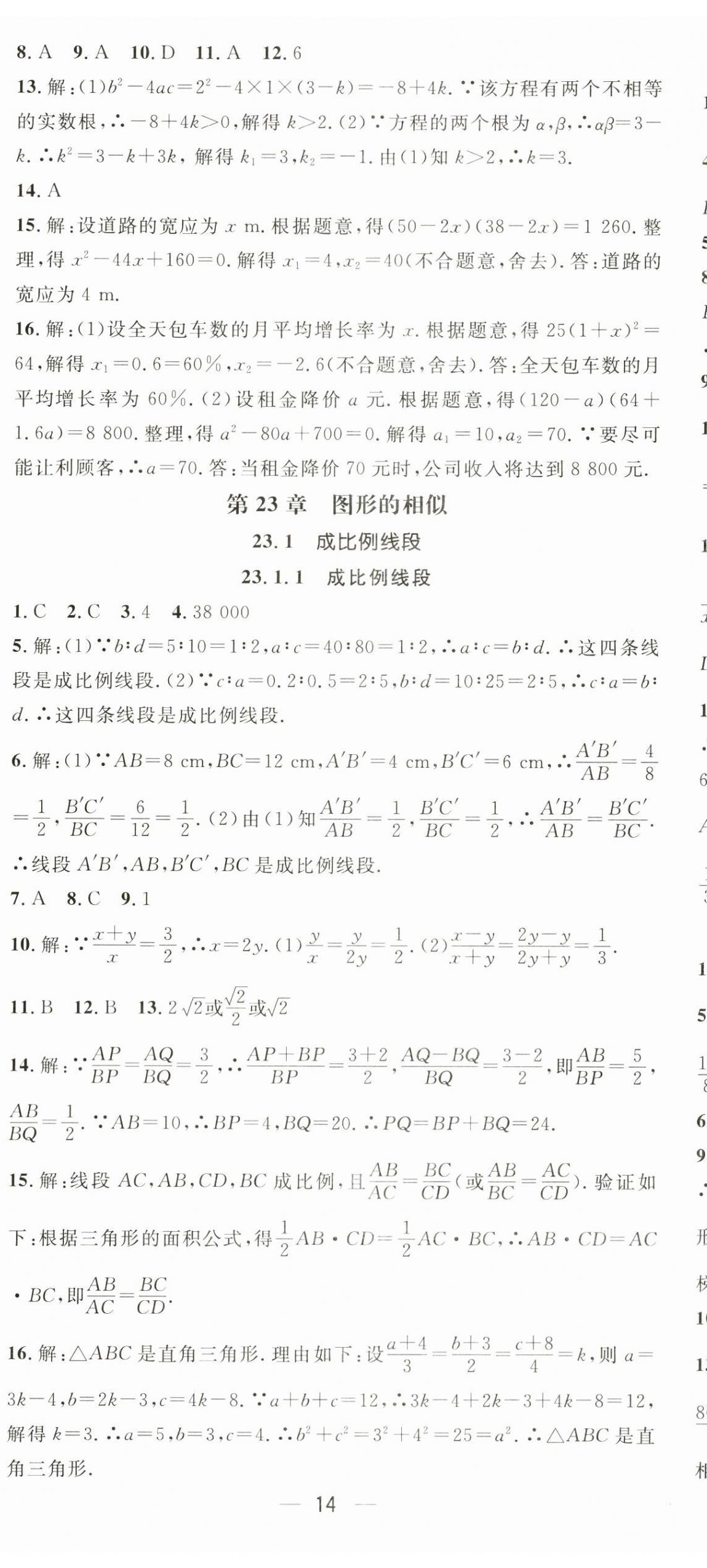 2024年名师测控九年级数学上册华师大版 第14页