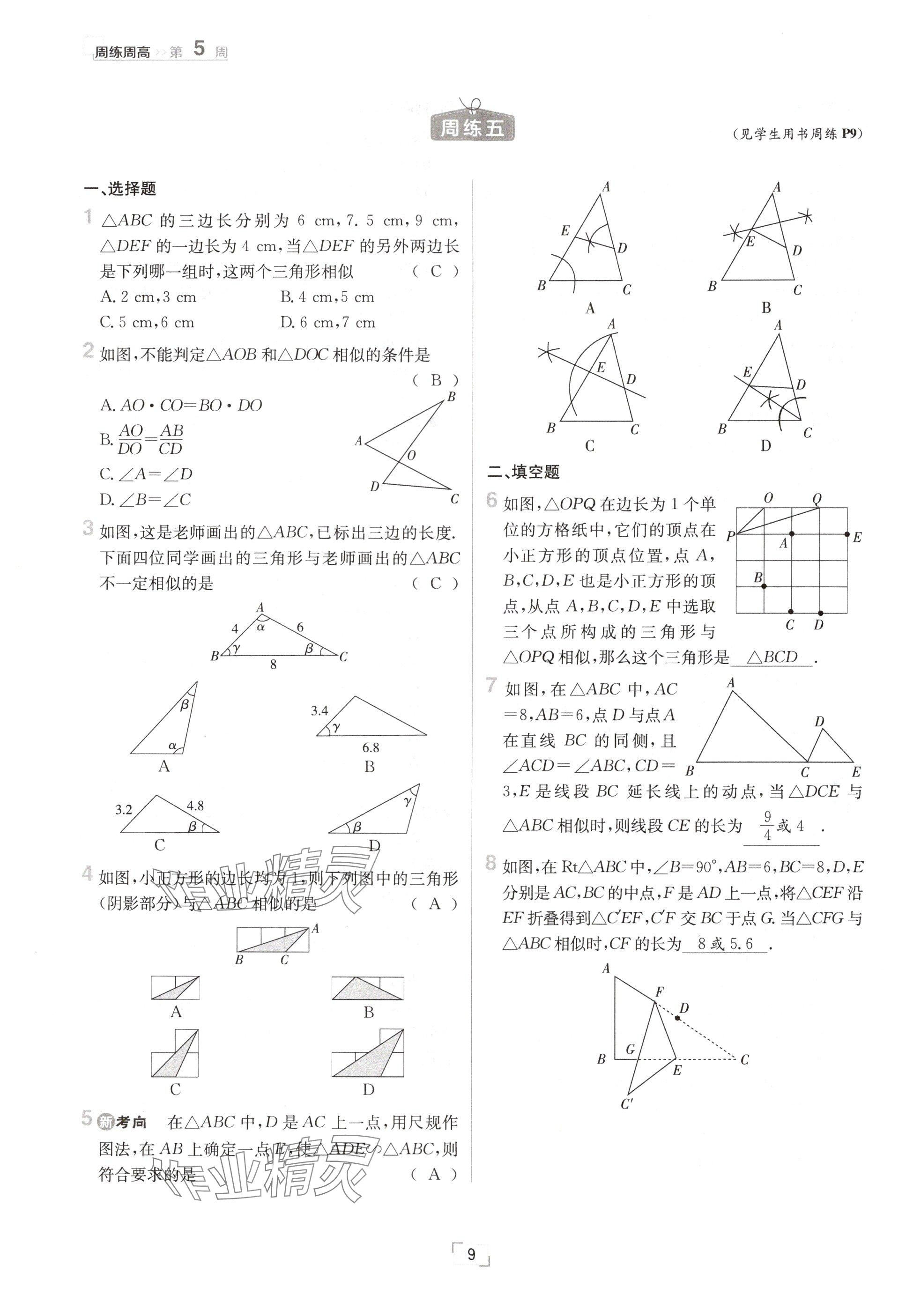 2024年日清周練九年級(jí)數(shù)學(xué)全一冊(cè)冀教版 參考答案第9頁