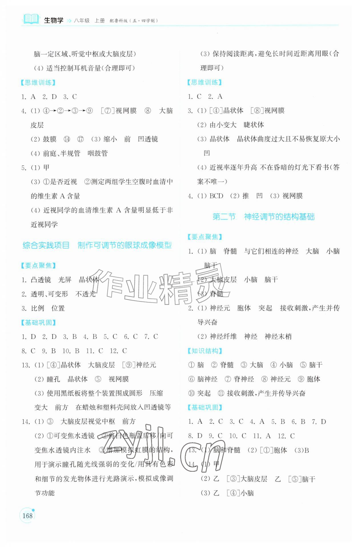 2026年同步练习册山东科学技术出版社八年级生物上册鲁科版五四制&nbsp;参考答案第2页