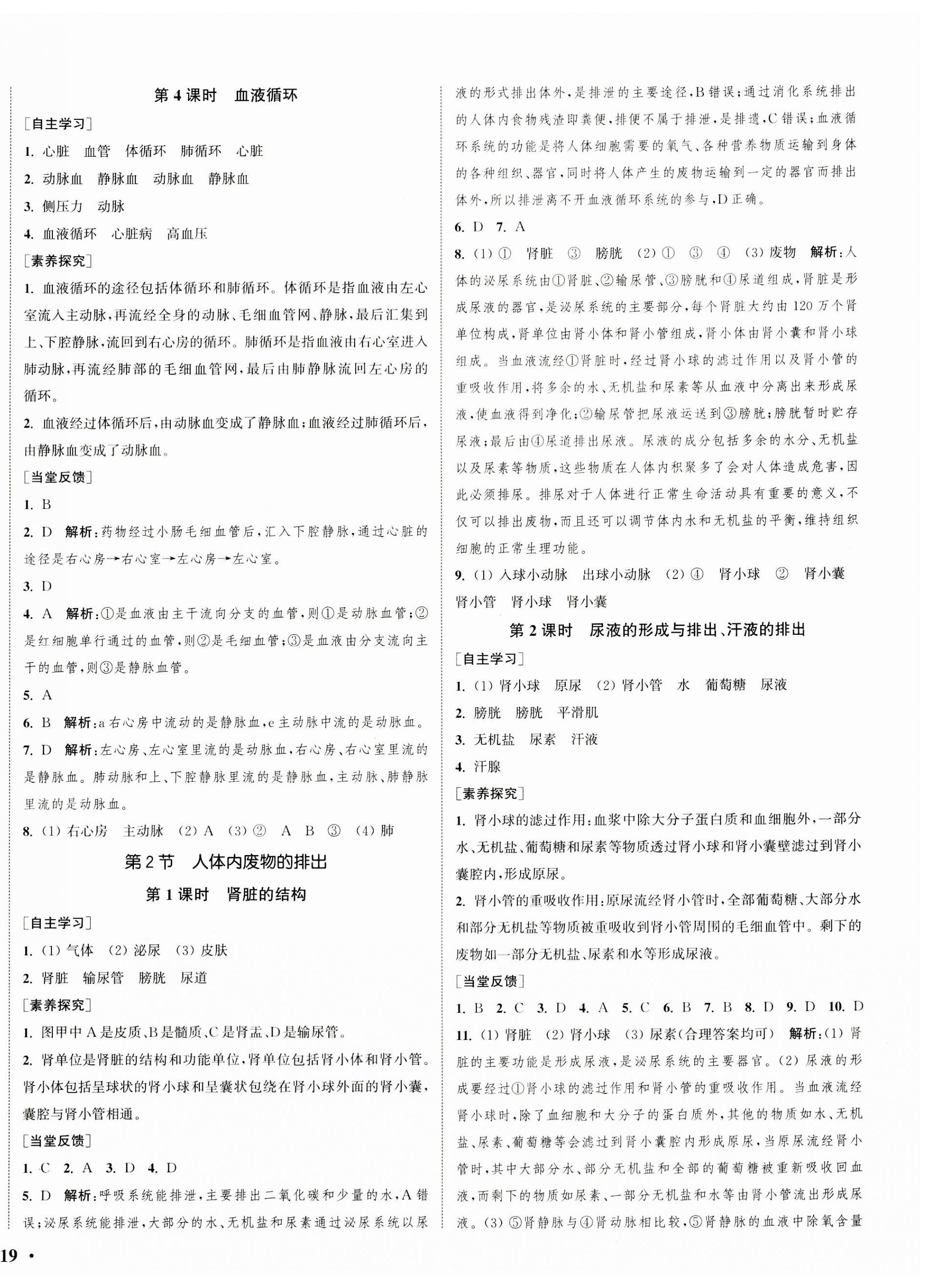 2023年通城学典活页检测八年级生物上册苏科版 第2页