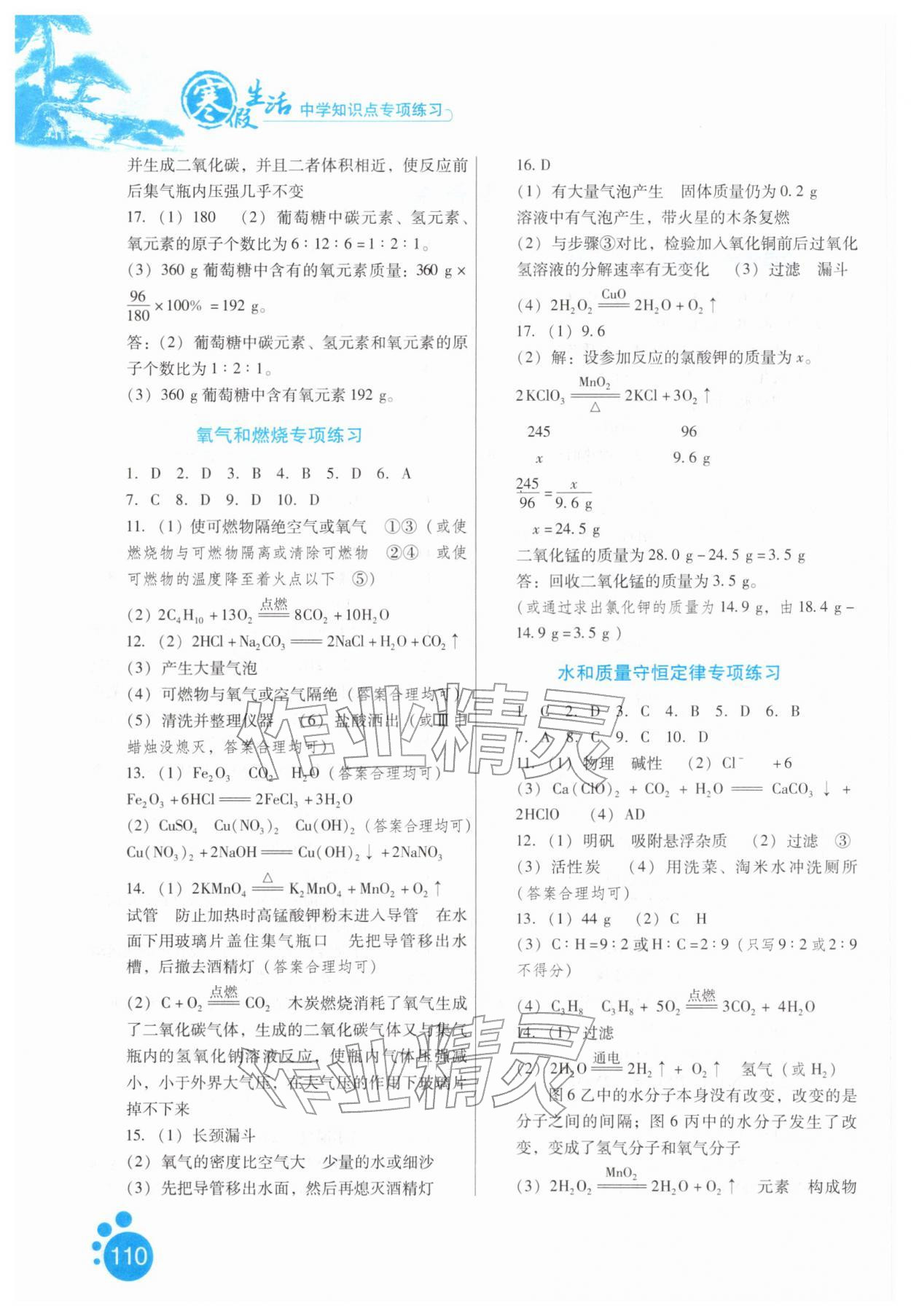 2026年寒假生活河北人民出版社九年级化学&nbsp;第2页