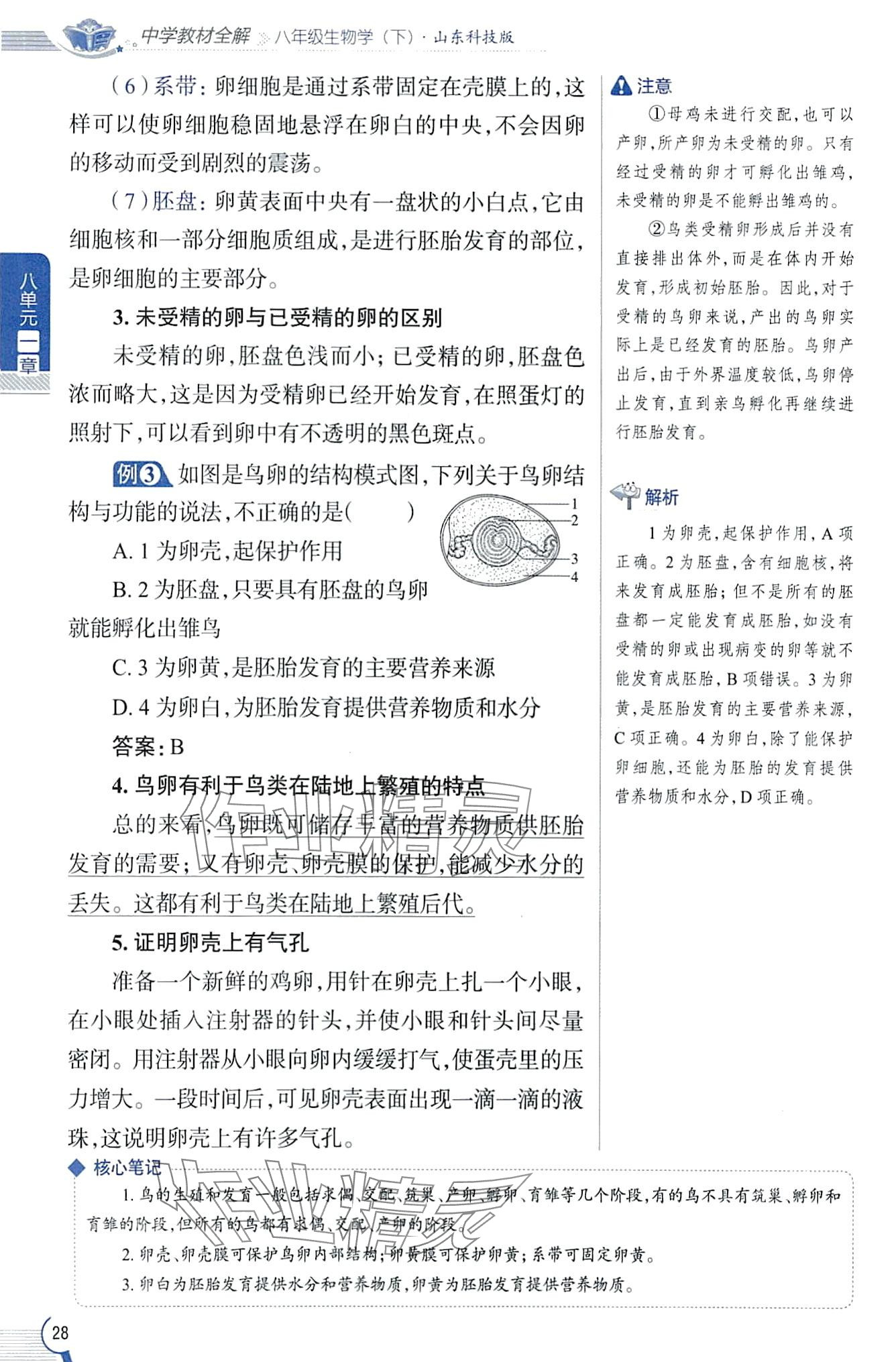 2024年教材課本八年級生物下冊魯科版五四制 第28頁