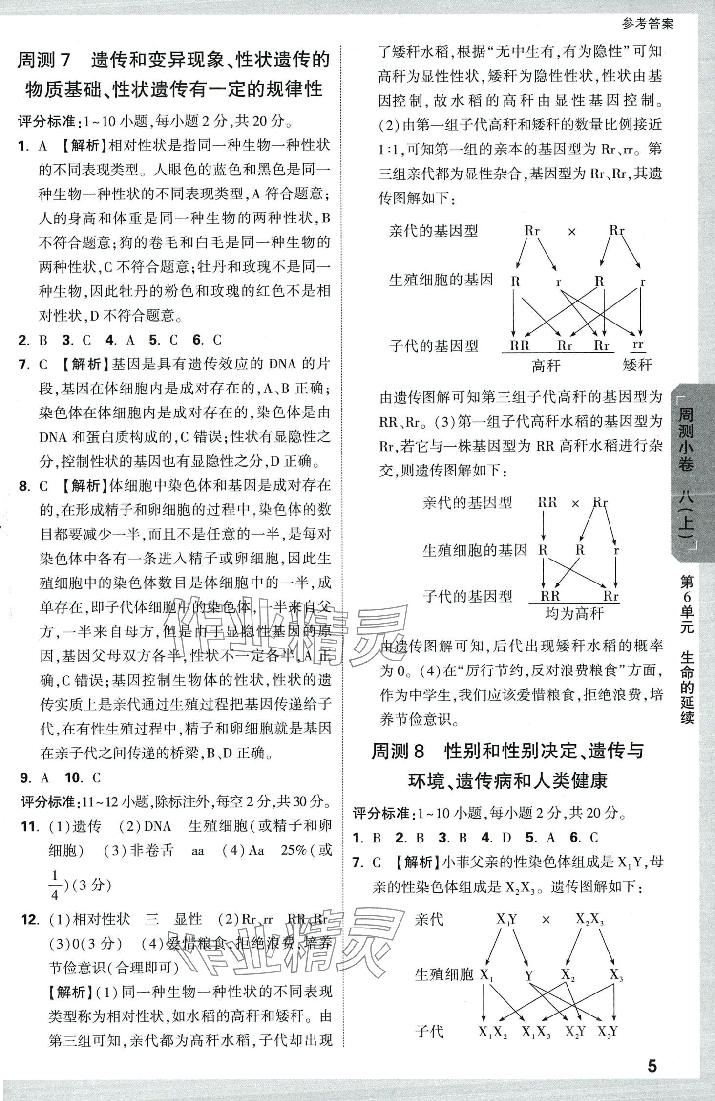 2024年萬唯中考大小卷八年級生物全一冊北師大版 第7頁