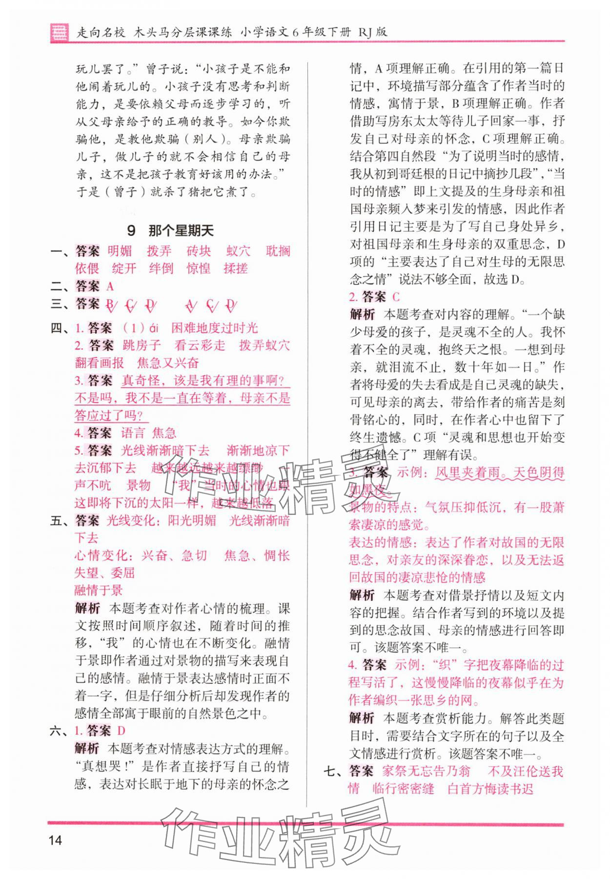 2025年木頭馬分層課課練六年級語文下冊人教版浙江專版 第14頁
