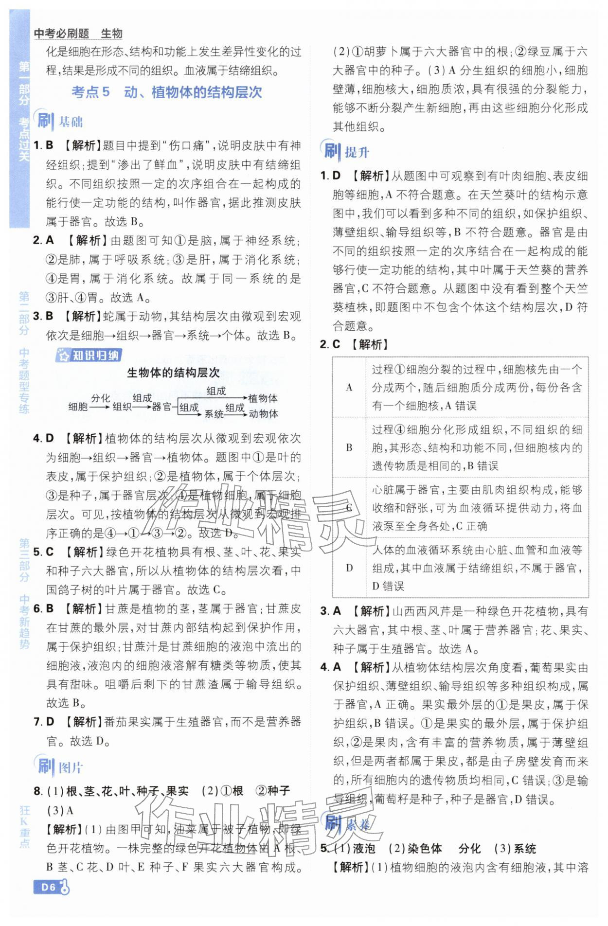 2026年中考必刷题开明出版社生物&nbsp;第6页