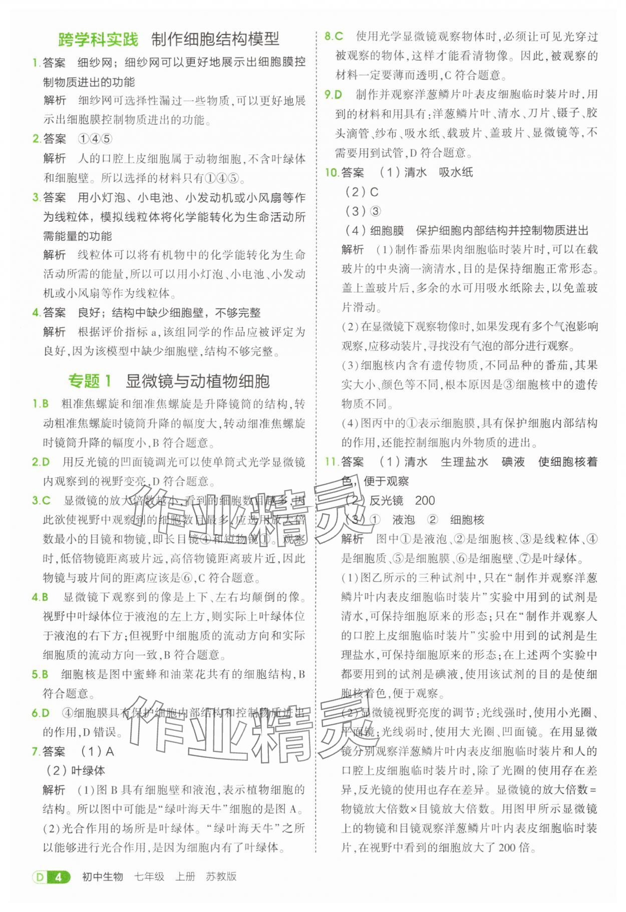 2025年5年中考3年模擬七年級(jí)生物上冊(cè)蘇教版 第4頁(yè)