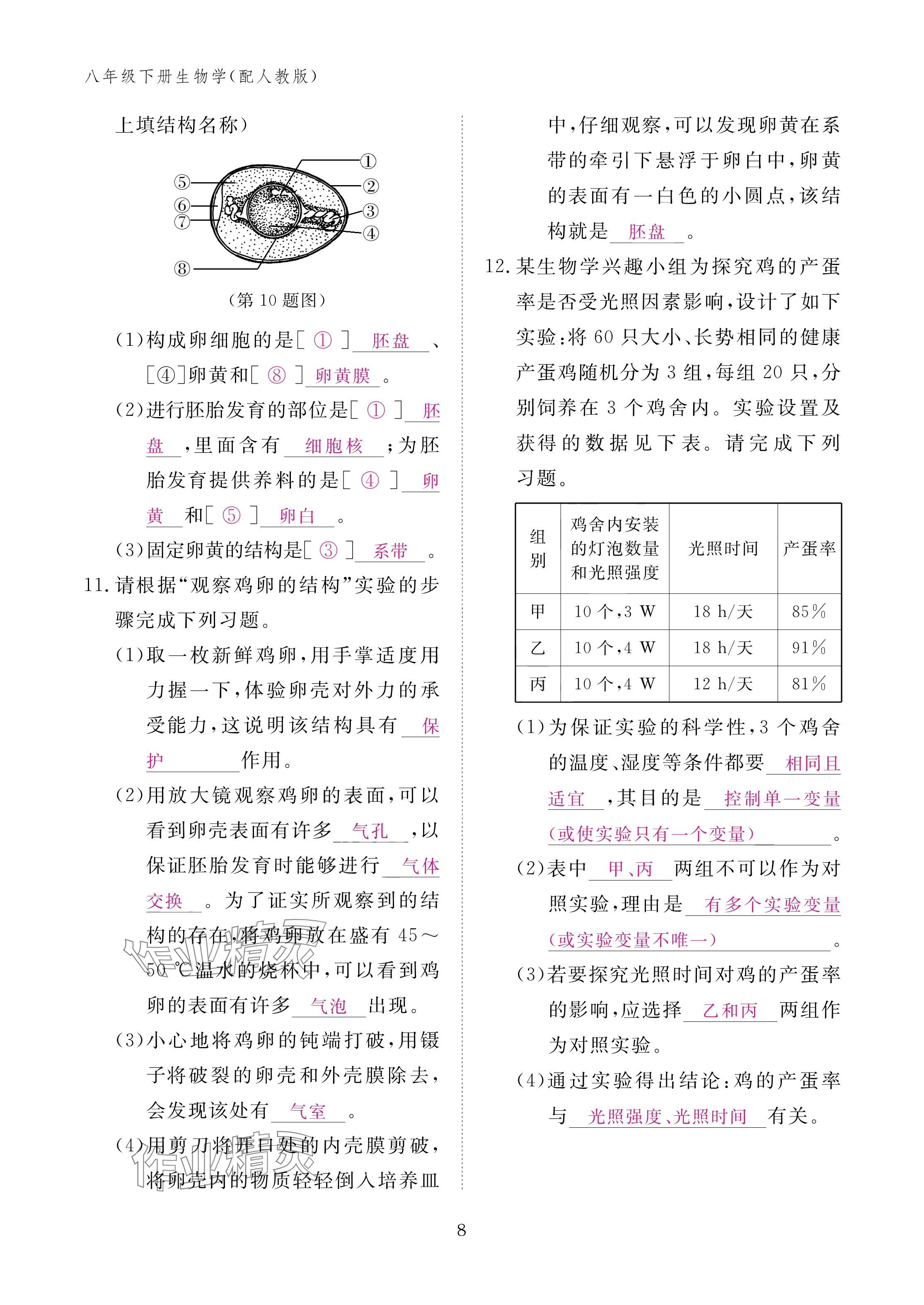 2025年作業本江西教育出版社八年級生物下冊人教版&nbsp;參考答案第8頁