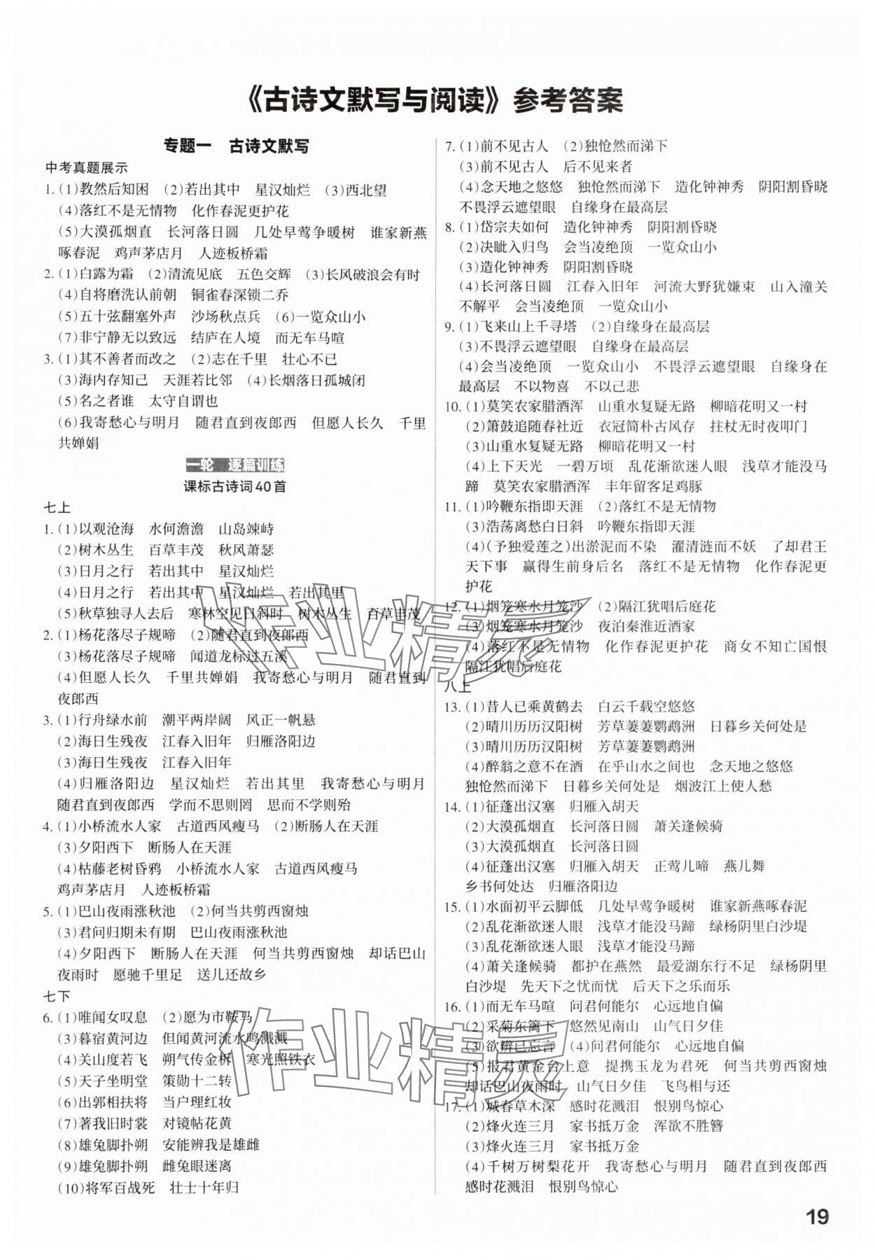 2025年滾動遷移中考總復(fù)習(xí)語文廣東專版 第19頁