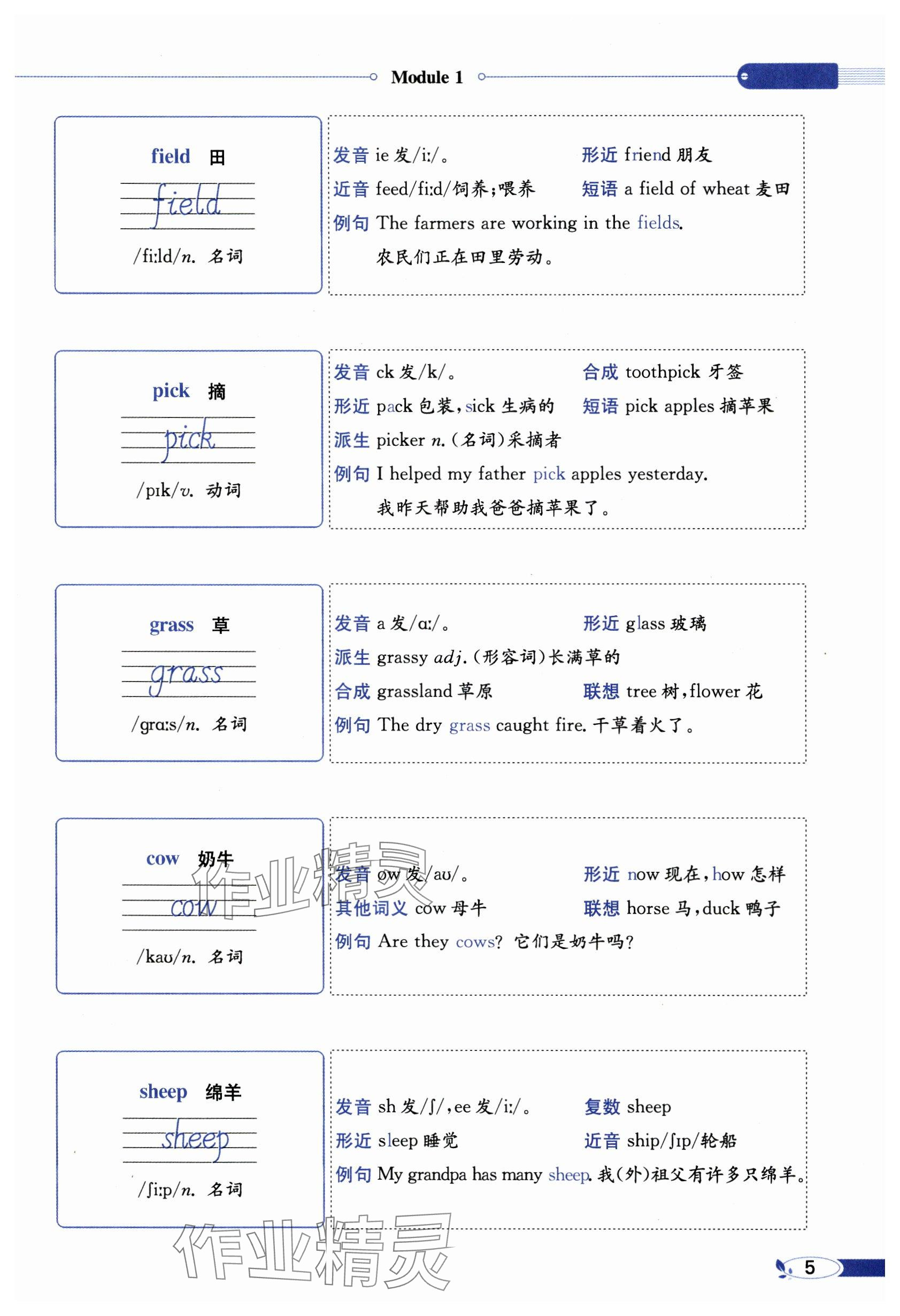 2024年教材課本六年級英語上冊教科版 參考答案第5頁