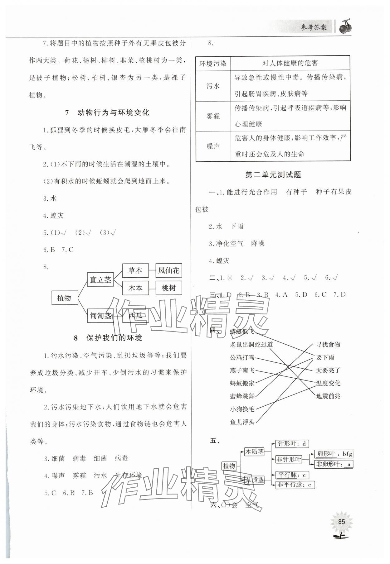 2025年同步練習山東文藝出版社六年級科學下冊青島版 第3頁