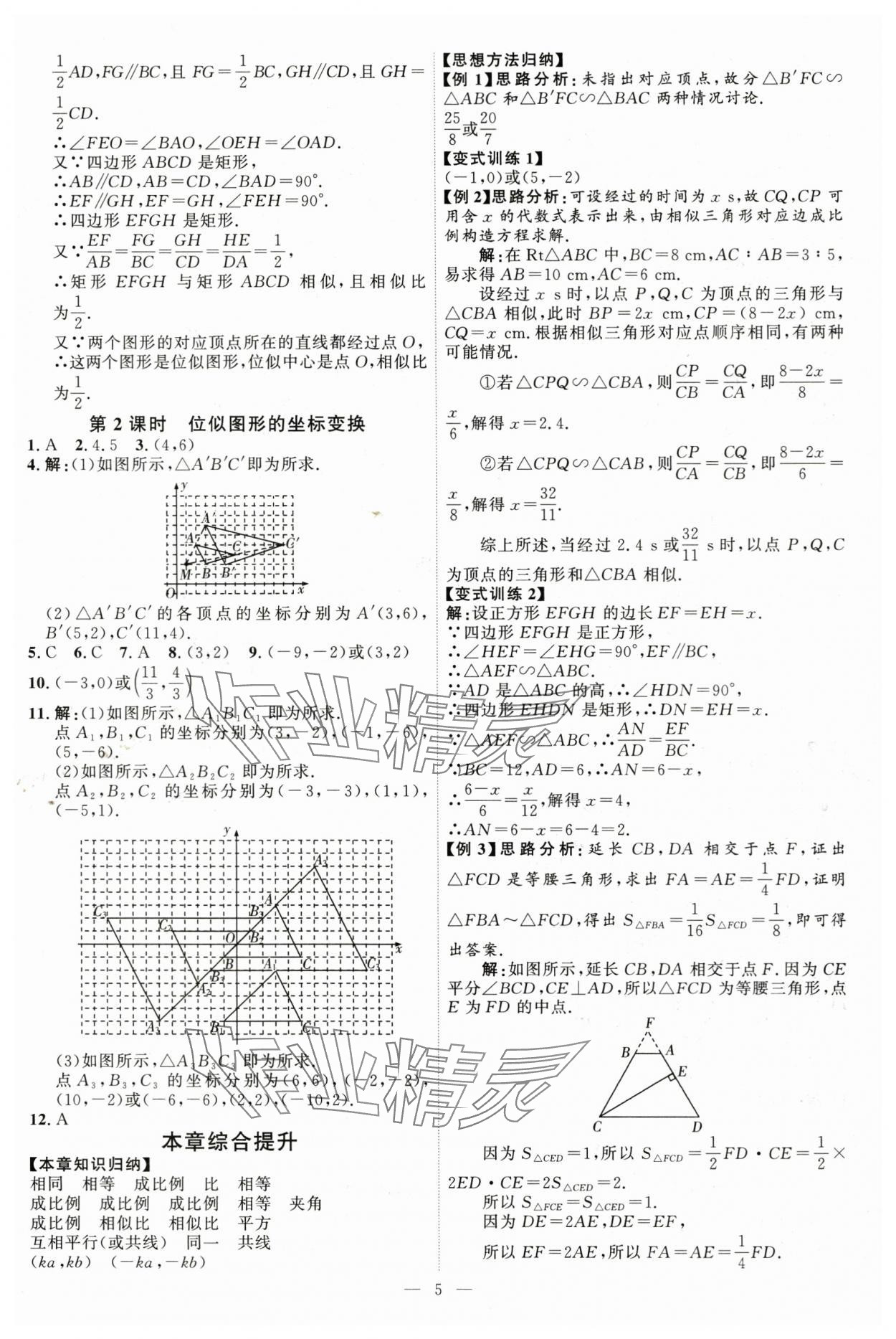 2025年優(yōu)加學(xué)案課時通九年級數(shù)學(xué)上冊青島版 第5頁