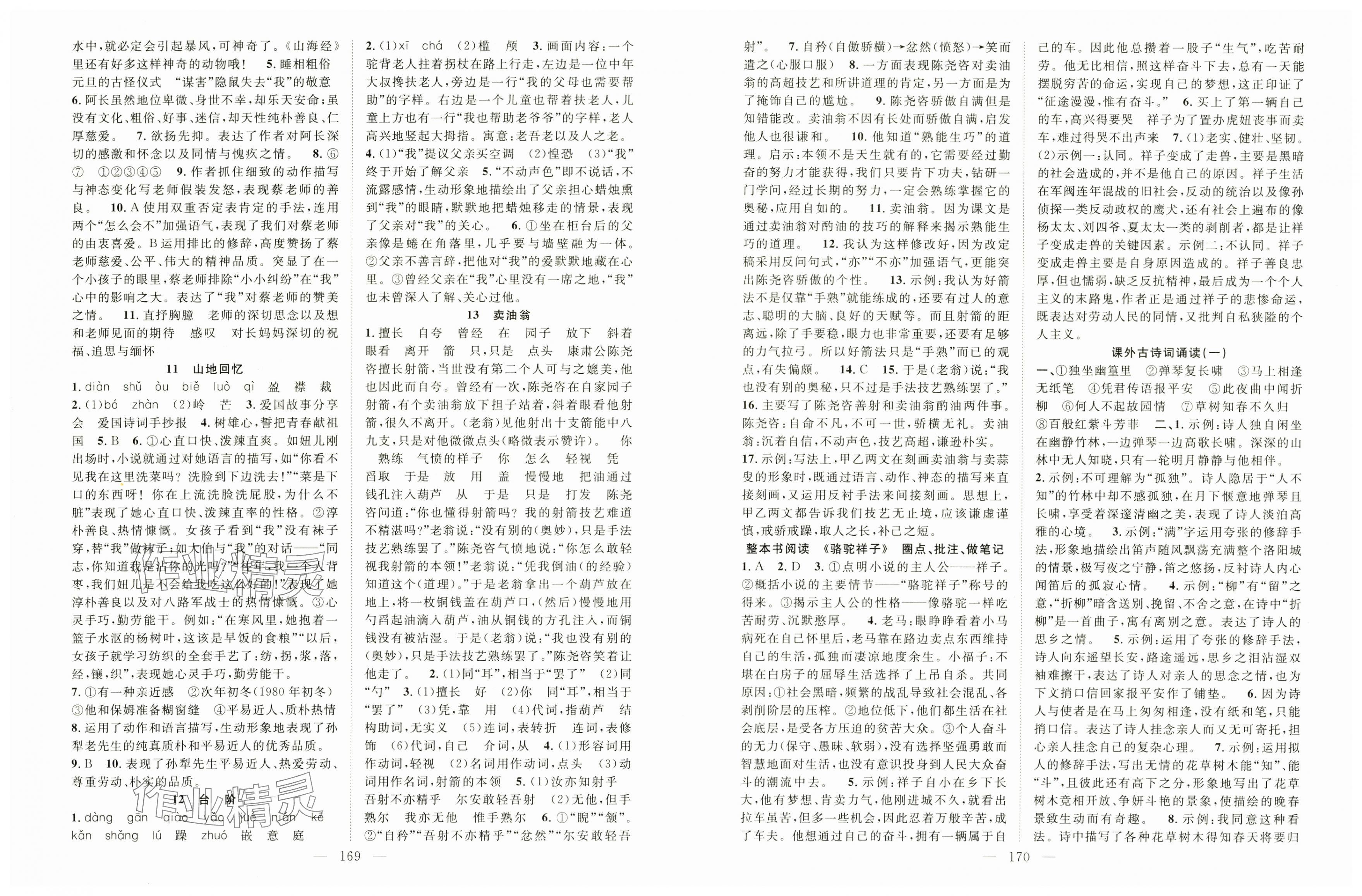 2025年名師學(xué)案七年級語文下冊人教版河南專版 第3頁