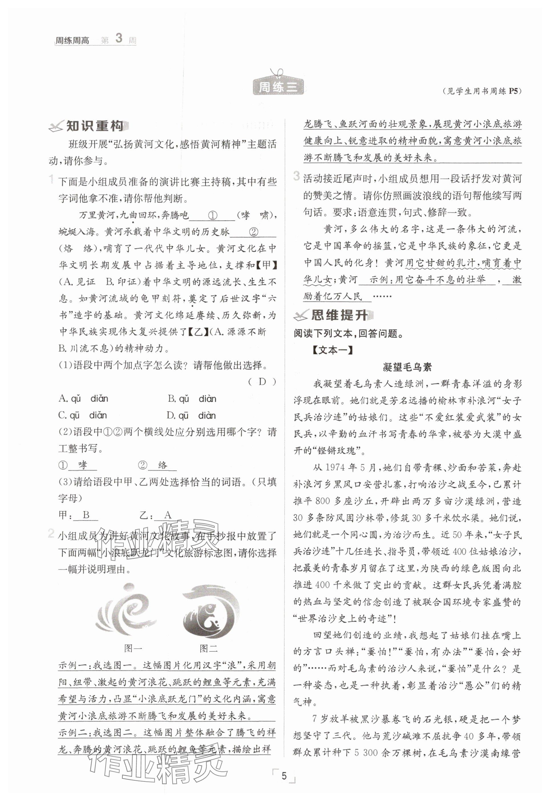 2025年日清周練七年級(jí)語(yǔ)文下冊(cè)人教版 參考答案第5頁(yè)