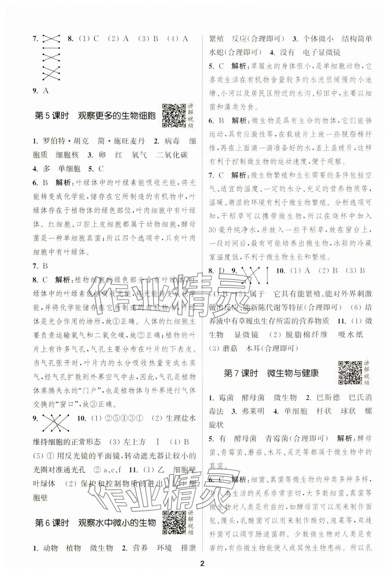 2024年拔尖特訓(xùn)六年級科學(xué)上冊教科版 第2頁