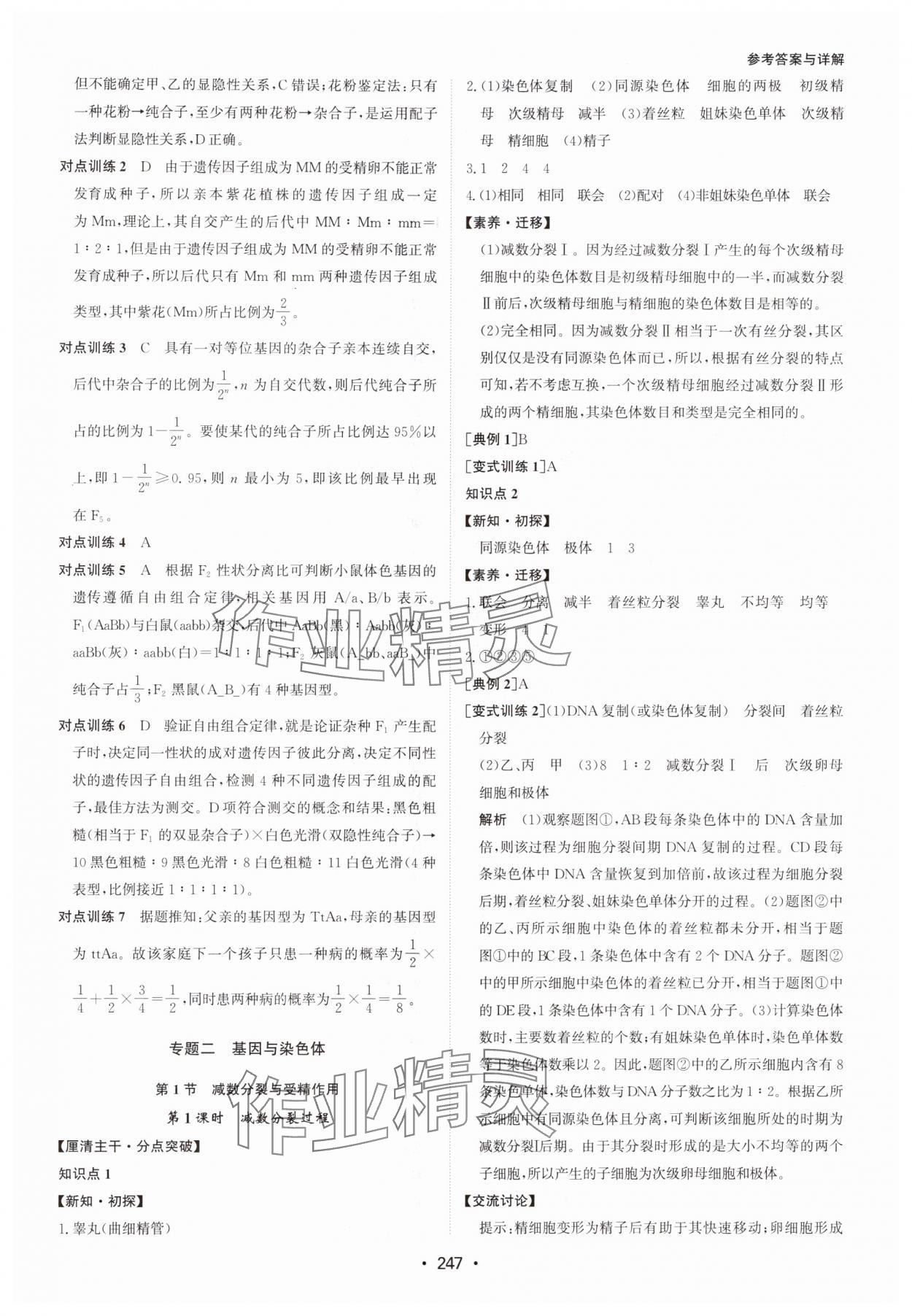 2024年系統(tǒng)集成新課程同步導學練測高中生物必修2 參考答案第5頁