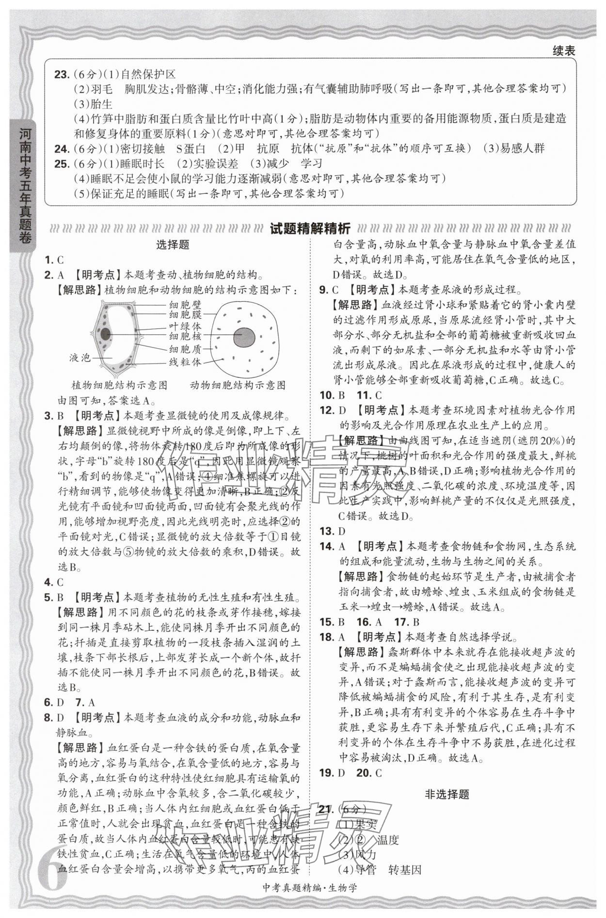 2025年王朝霞中考真題精編生物河南專版 參考答案第6頁