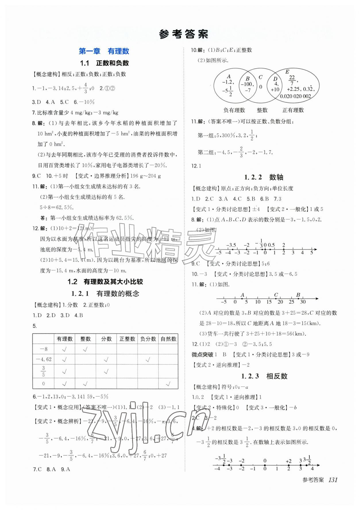 2026年新编基础训练七年级数学上册人教版&nbsp;第1页