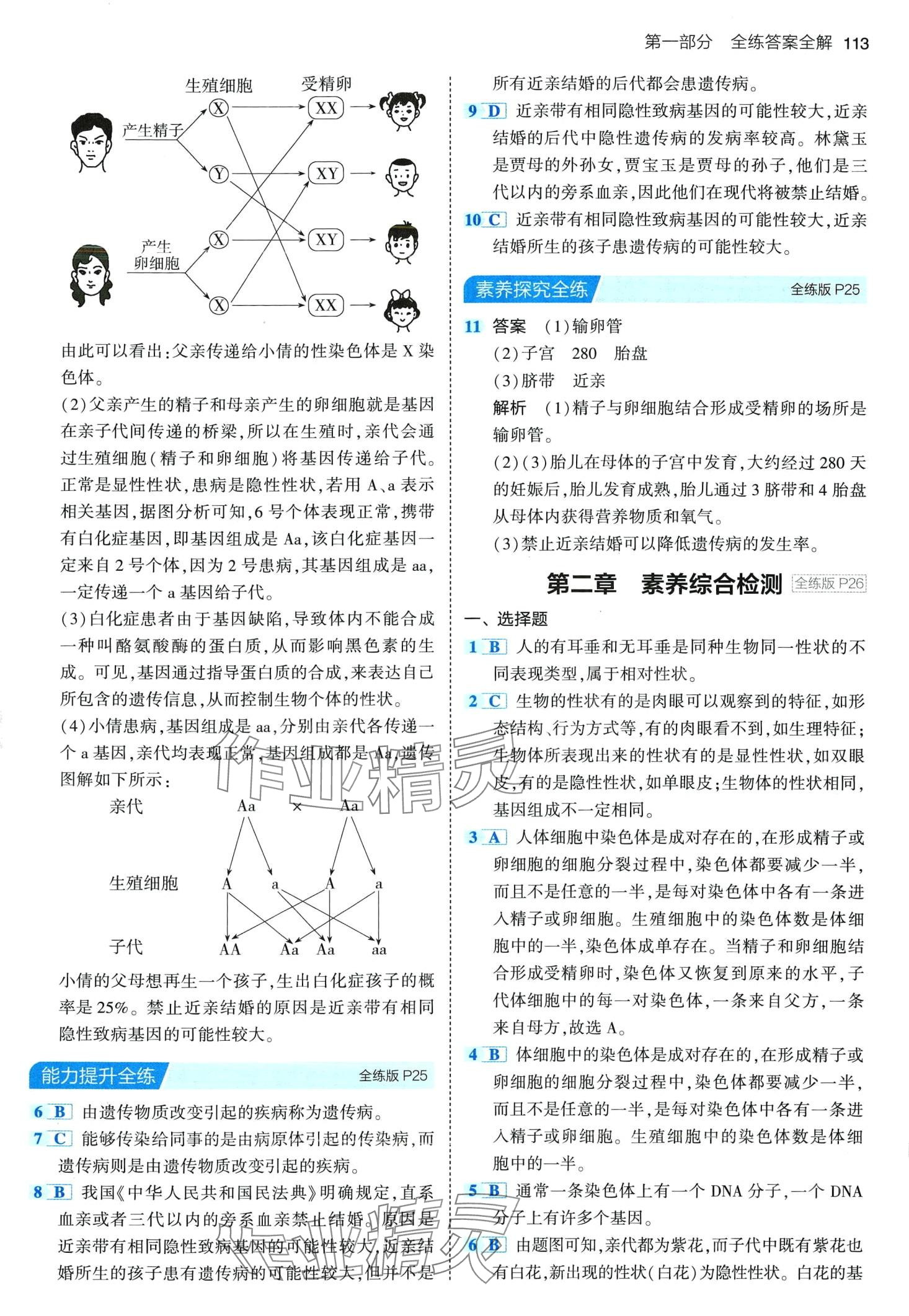 2024年5年中考3年模拟八年级生物下册冀少版 第11页