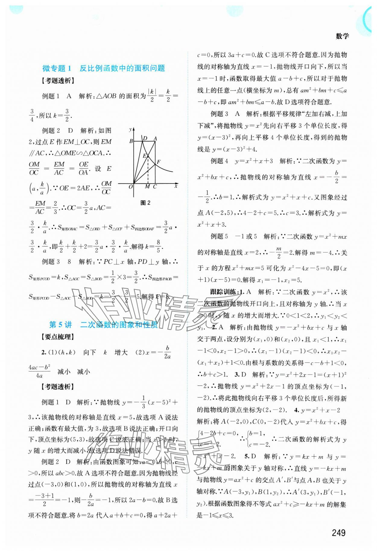 2025年中考指南总复习数学A版 第7页