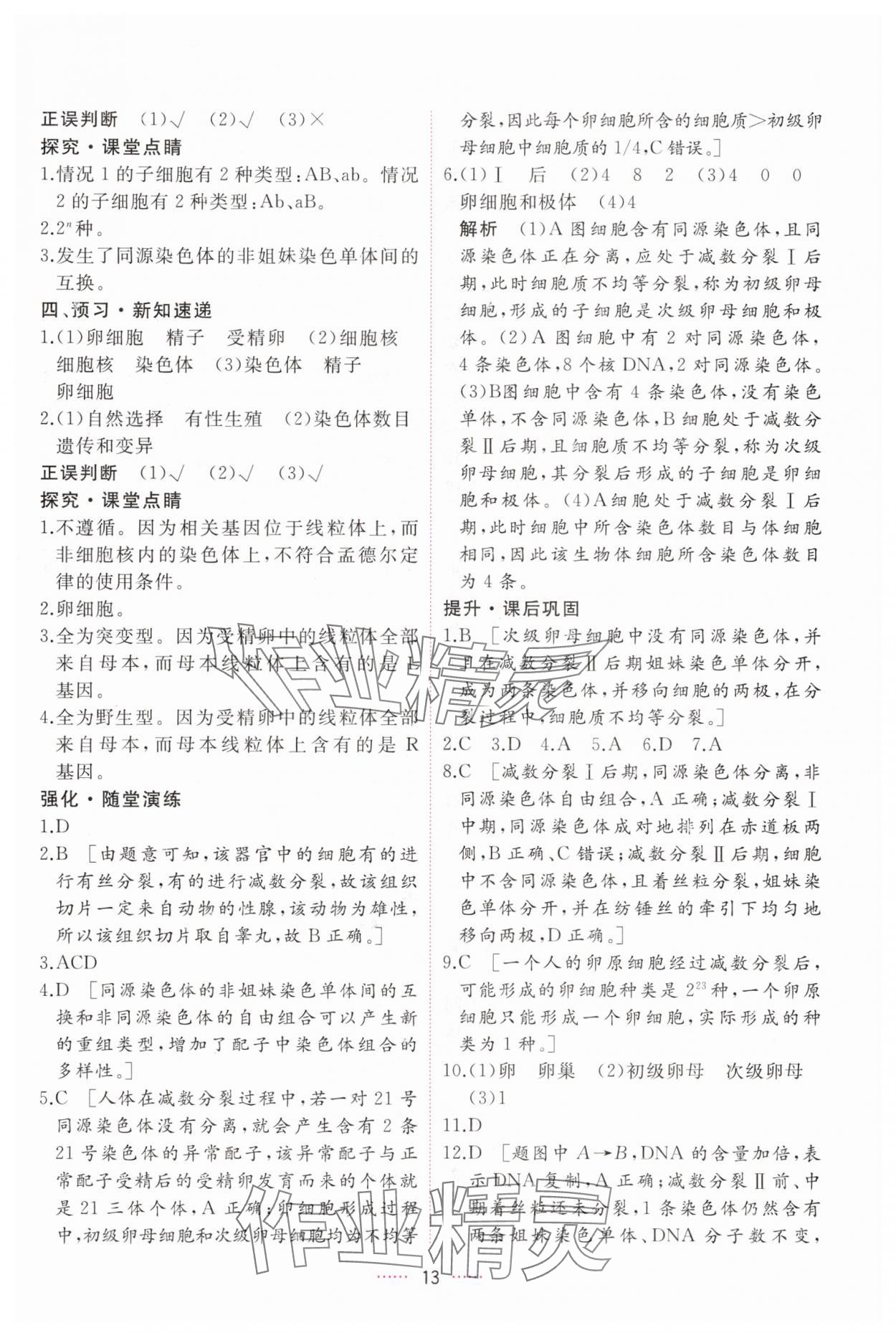 2025年三維隨堂精練高中生物必修2人教版 第13頁