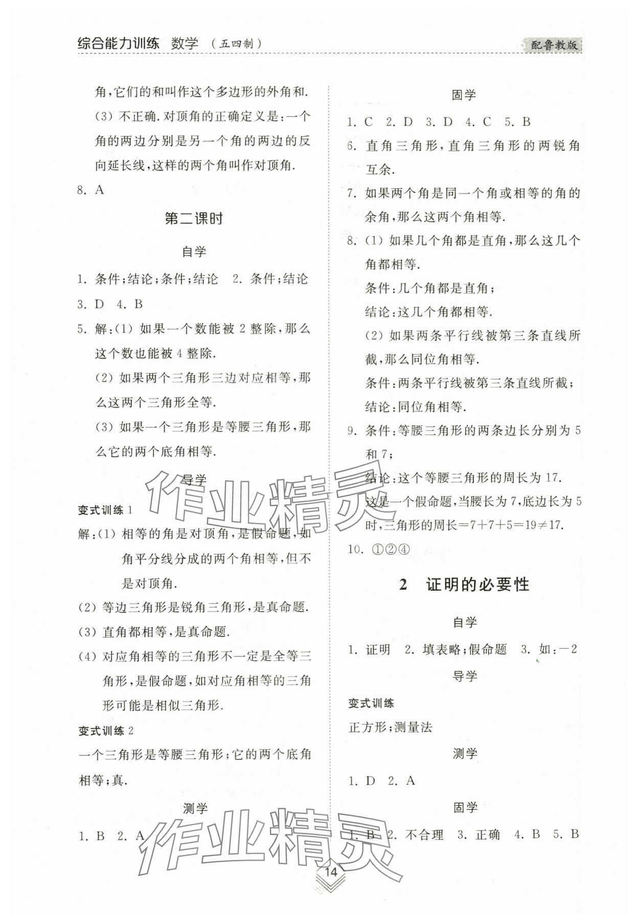 2024年综合能力训练七年级数学下册鲁教版54制 参考答案第13页