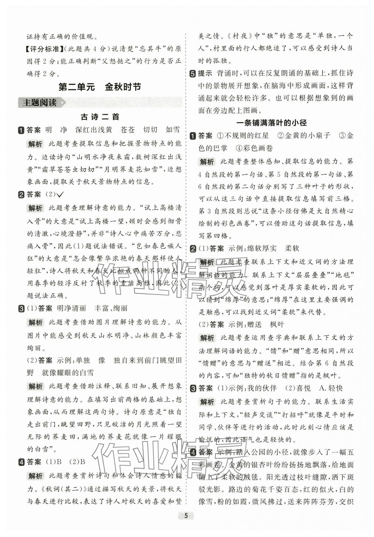 2025年阅读力精练三年级语文上册人教版&nbsp;参考答案第5页