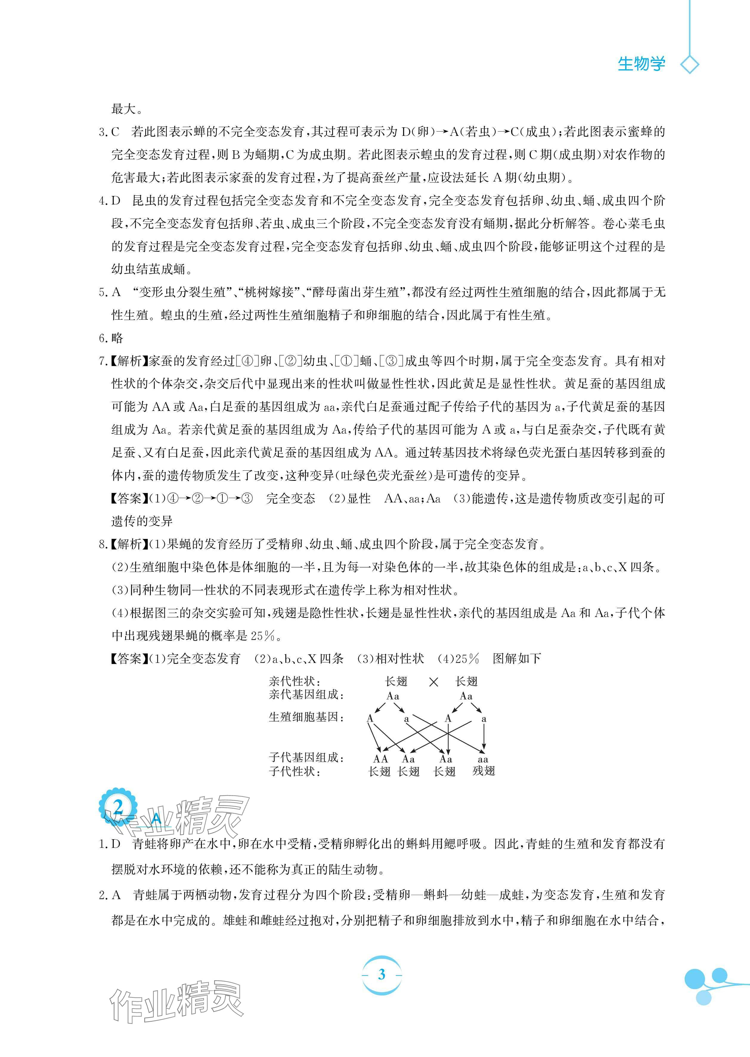 2024年暑假作业安徽教育出版社八年级生物人教版 参考答案第3页