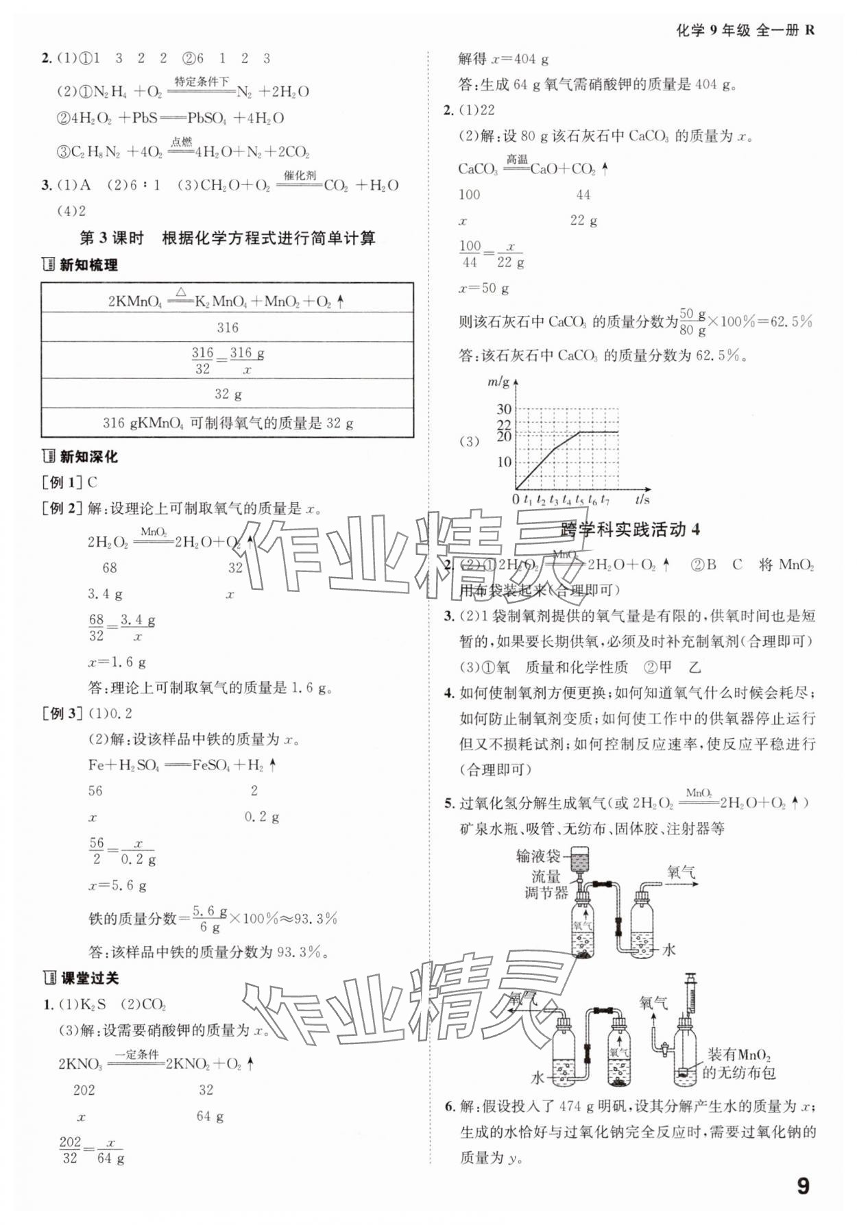 2025年全程突破九年級化學(xué)全一冊人教版 第9頁