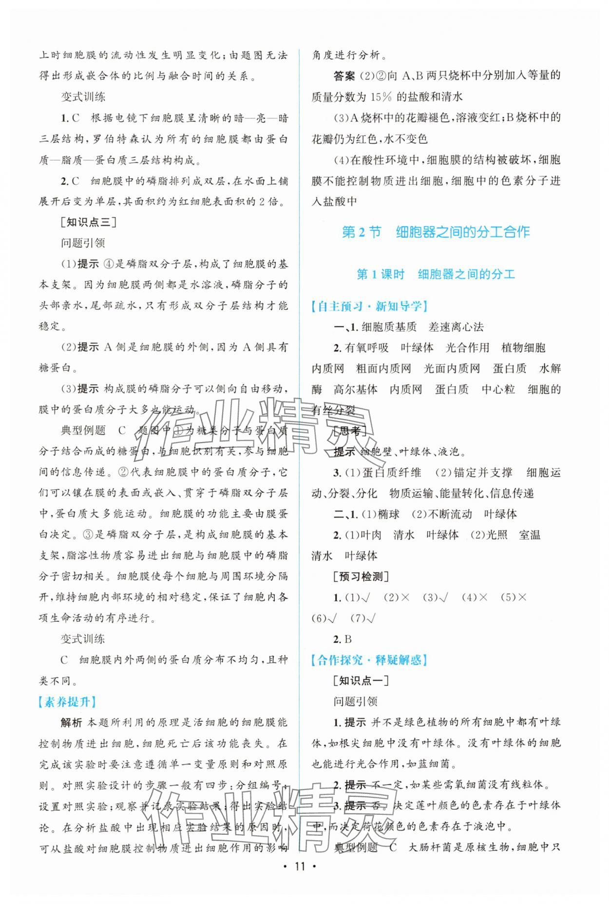 2025年高中同步測控優(yōu)化設(shè)計(jì)（分子與細(xì)胞）高中生物必修1人教版增強(qiáng)版 參考答案第10頁
