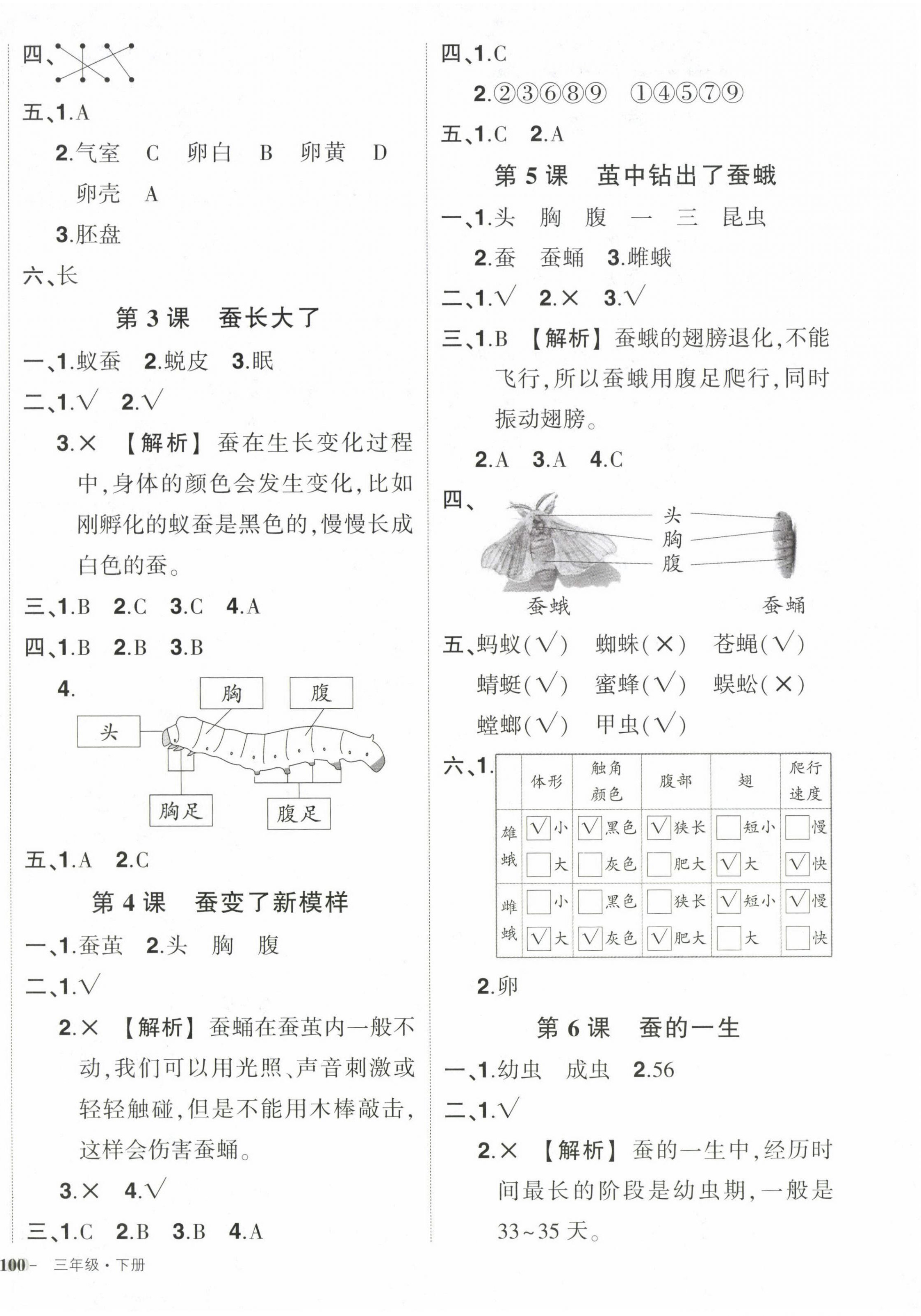 2024年状元成才路创优作业100分三年级科学下册教科版 第4页