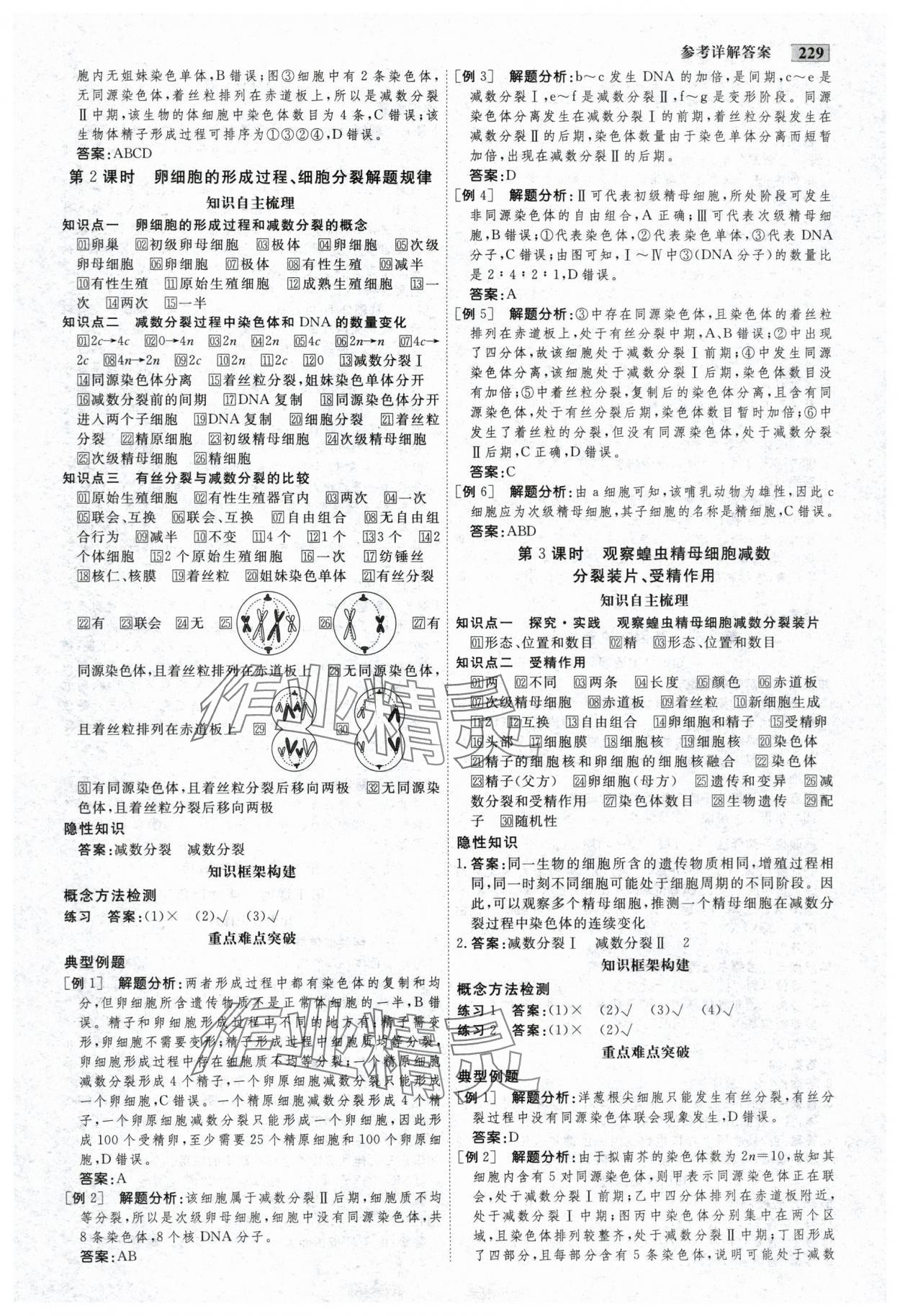 2025年金版教程高中新課程創新導學案生物必修2人教版 參考答案第7頁