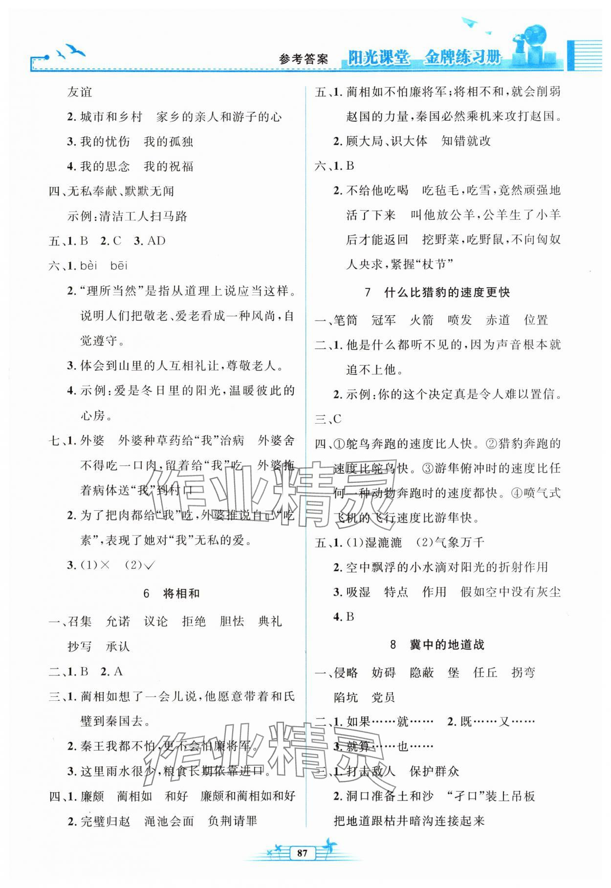 2025年阳光课堂金牌练习册五年级语文上册人教版 参考答案第3页