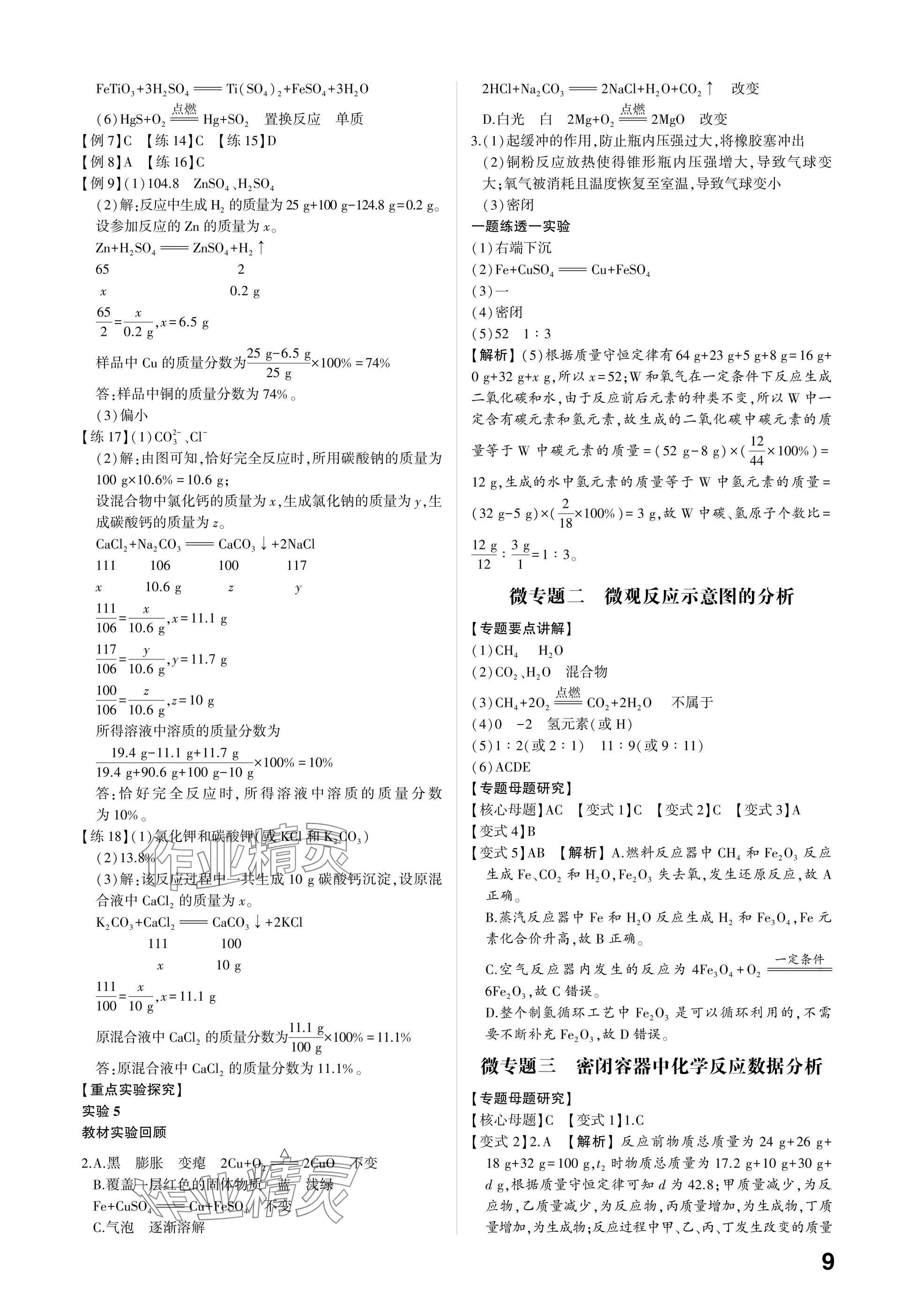 2025年中考备战化学潍坊专版 参考答案第8页