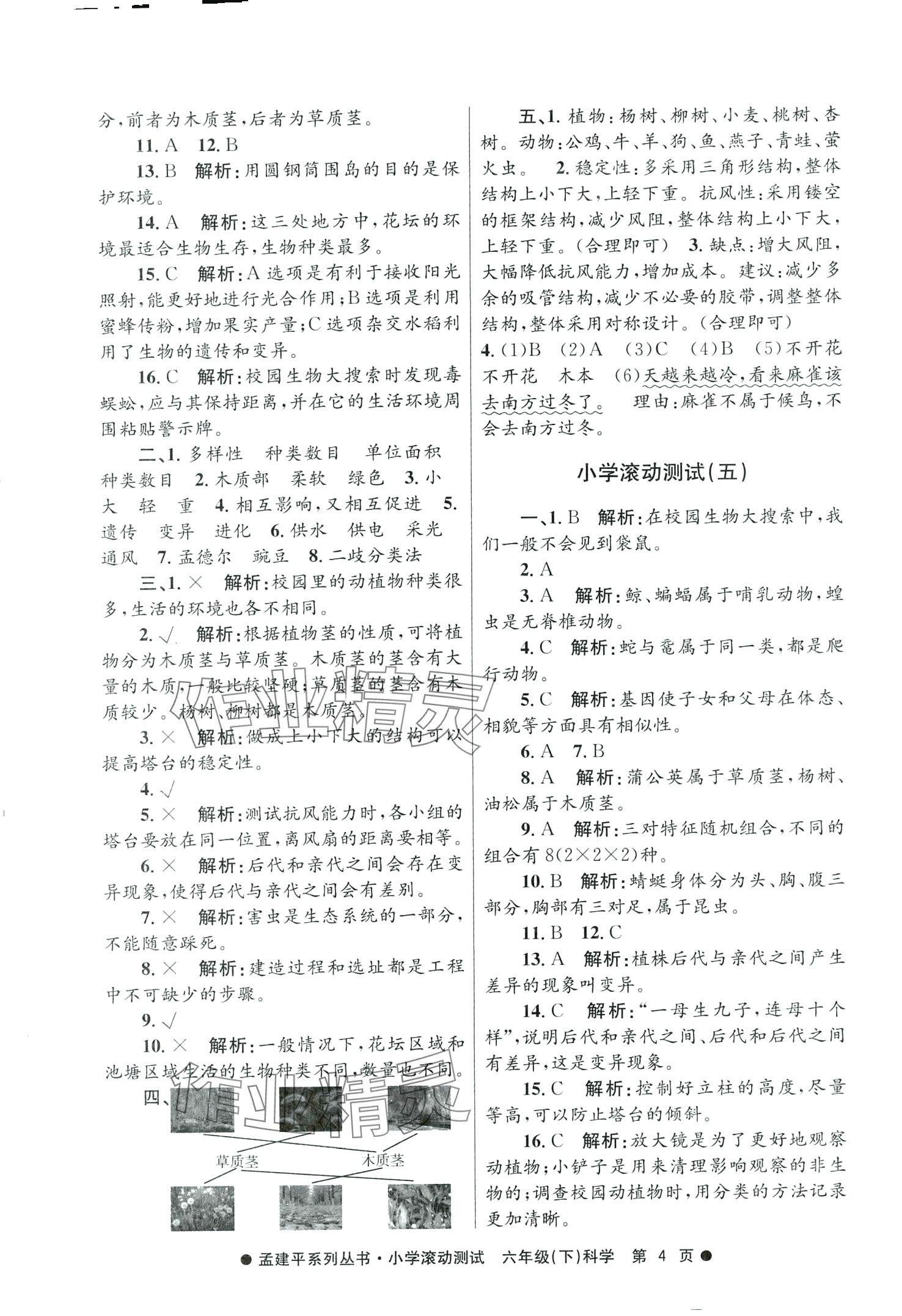 2024年孟建平小學(xué)滾動(dòng)測(cè)試六年級(jí)科學(xué)下冊(cè)教科版 第4頁(yè)