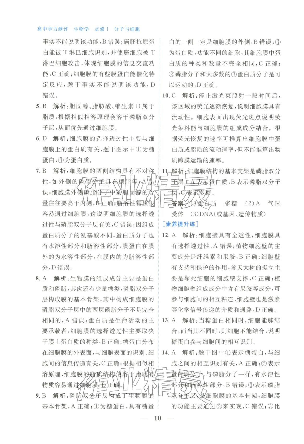 2025年高中學(xué)力測評生物必修第一冊&nbsp;第10頁