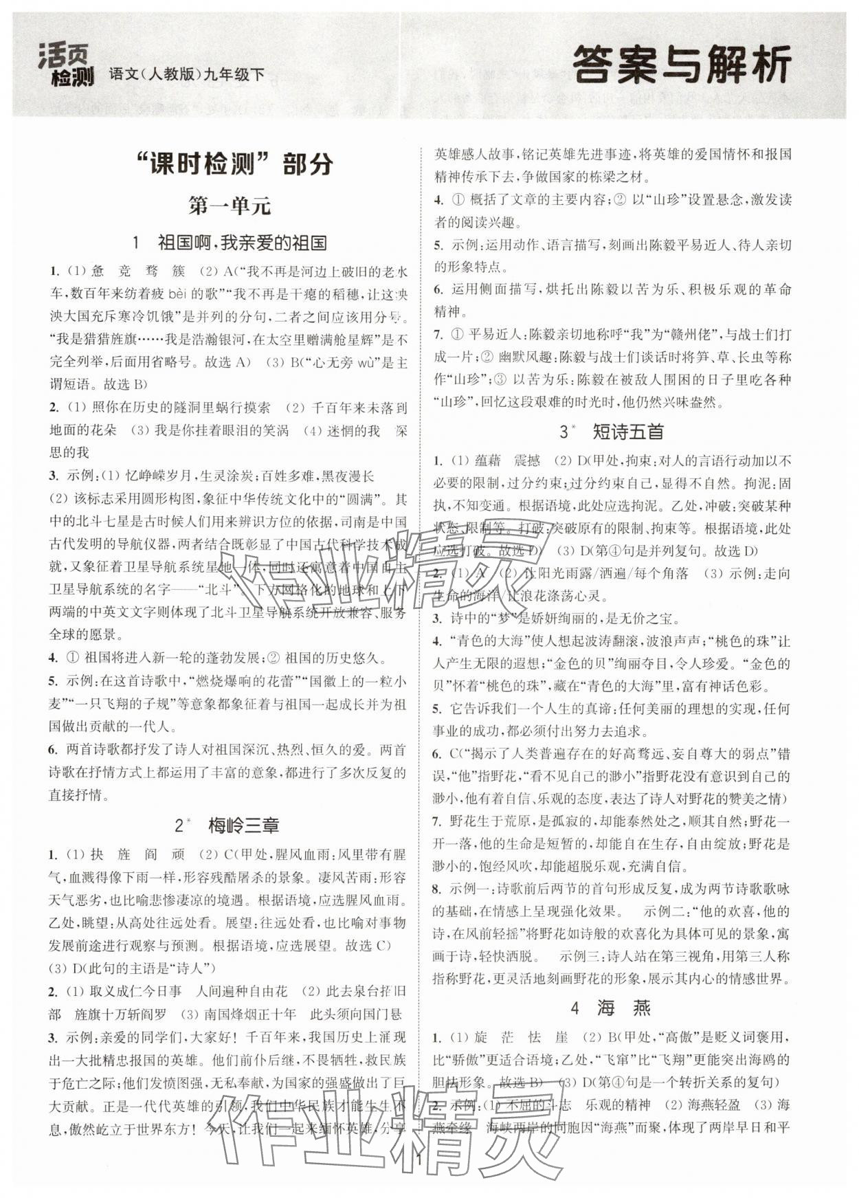 2025年通城學典活頁檢測九年級語文下冊人教版泰州專版 第1頁