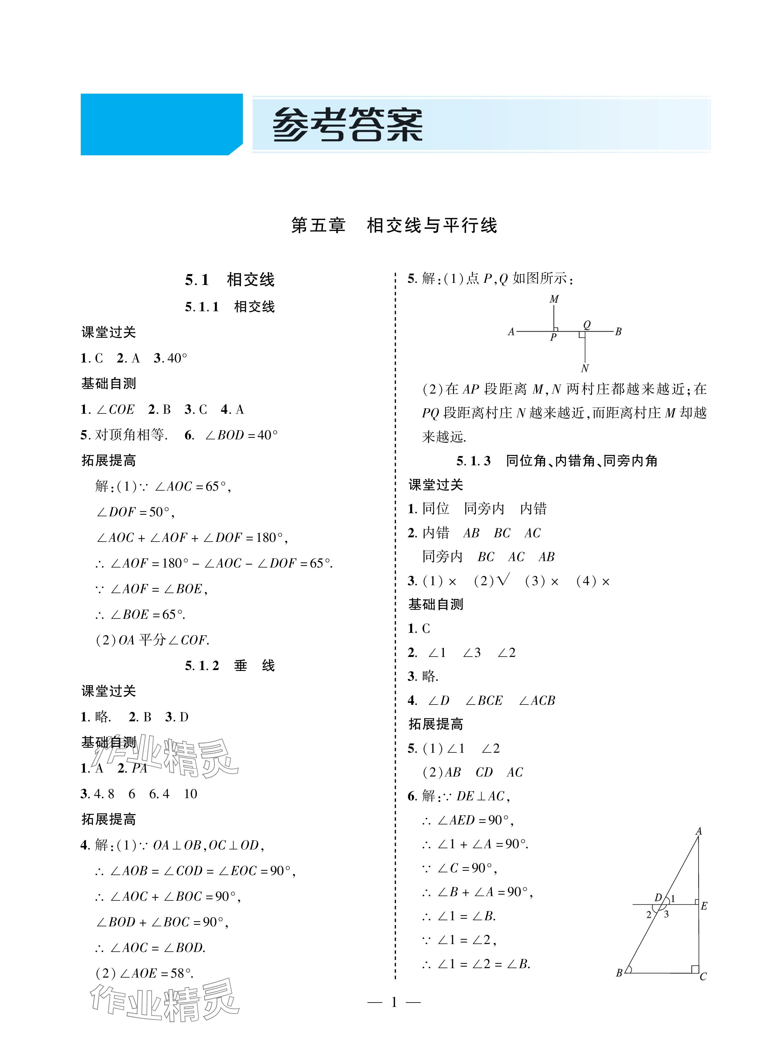 2024年新课堂同步学习与探究七年级数学下册人教版金乡专版 参考答案第1页