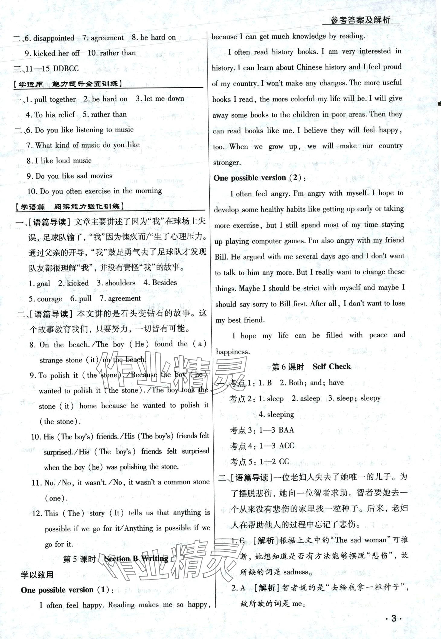 2024年學(xué)升同步練測(cè)九年級(jí)英語(yǔ)下冊(cè)人教版 第3頁(yè)