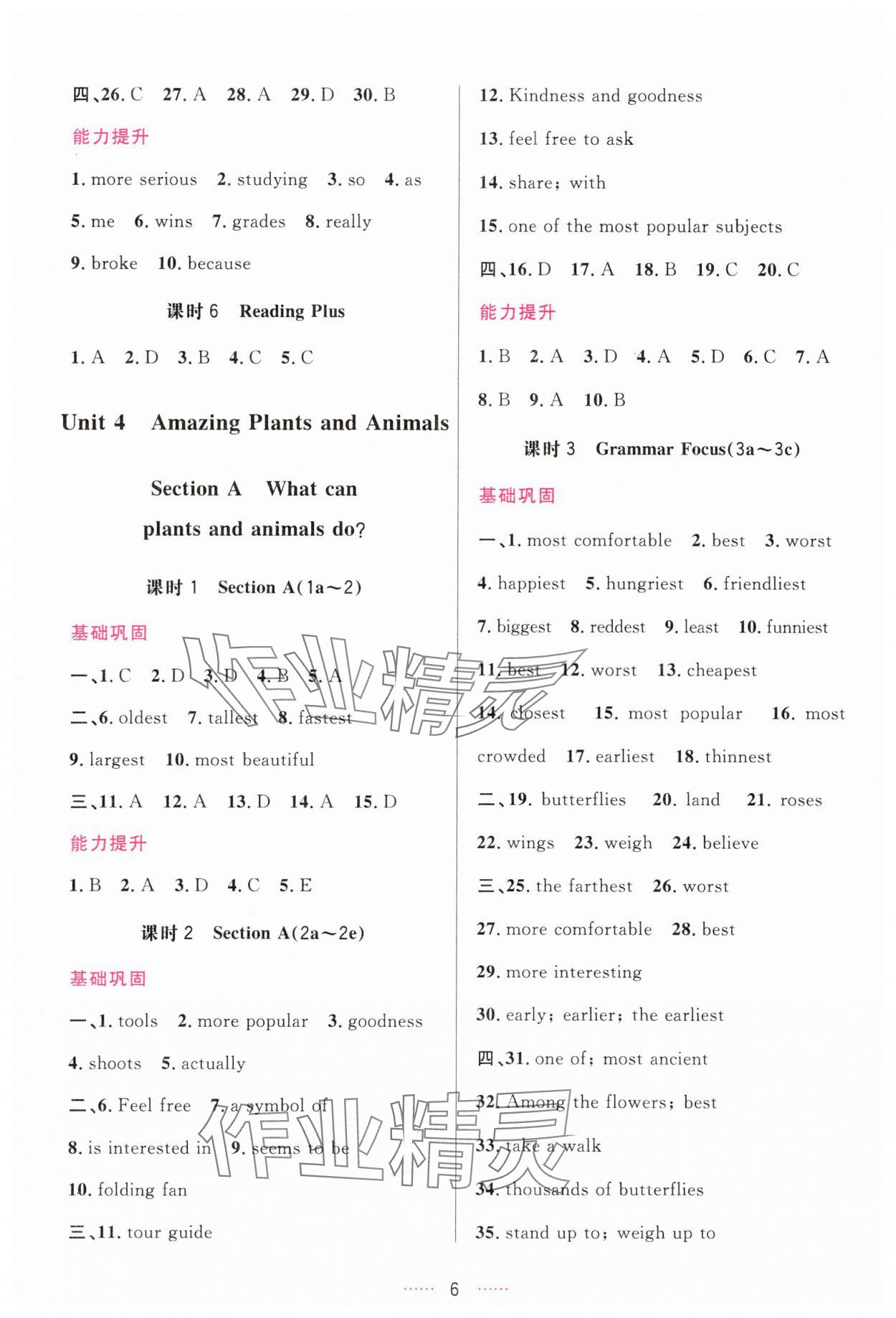 2025年三维数字课堂八年级英语上册人教版 第6页