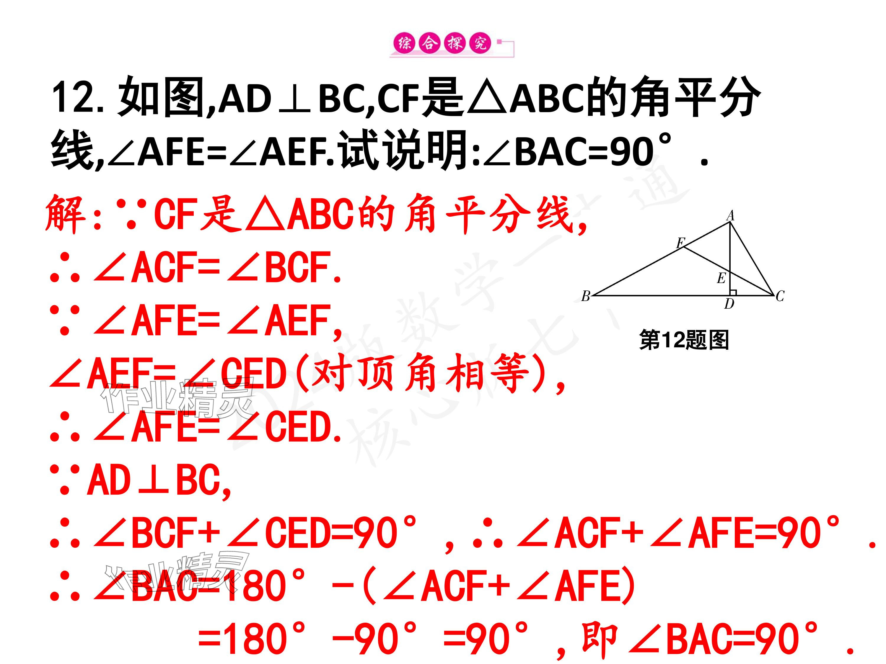 2024年一本通武汉出版社七年级数学下册北师大版 参考答案第36页