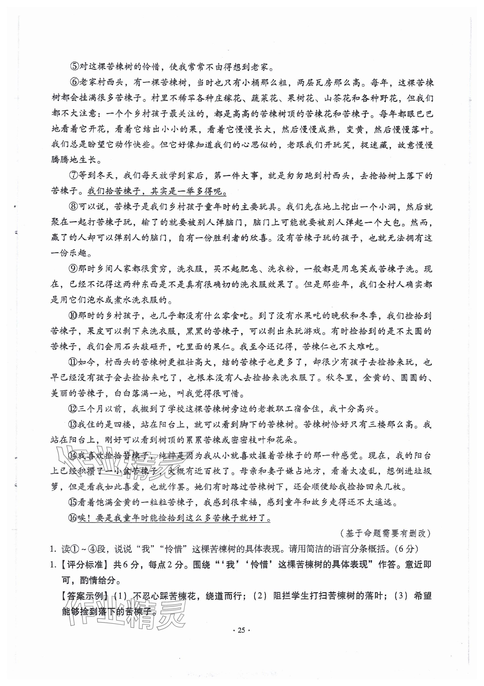 2024年全息大語(yǔ)文滿分專(zhuān)題練七年級(jí)上冊(cè)武漢專(zhuān)版 參考答案第25頁(yè)